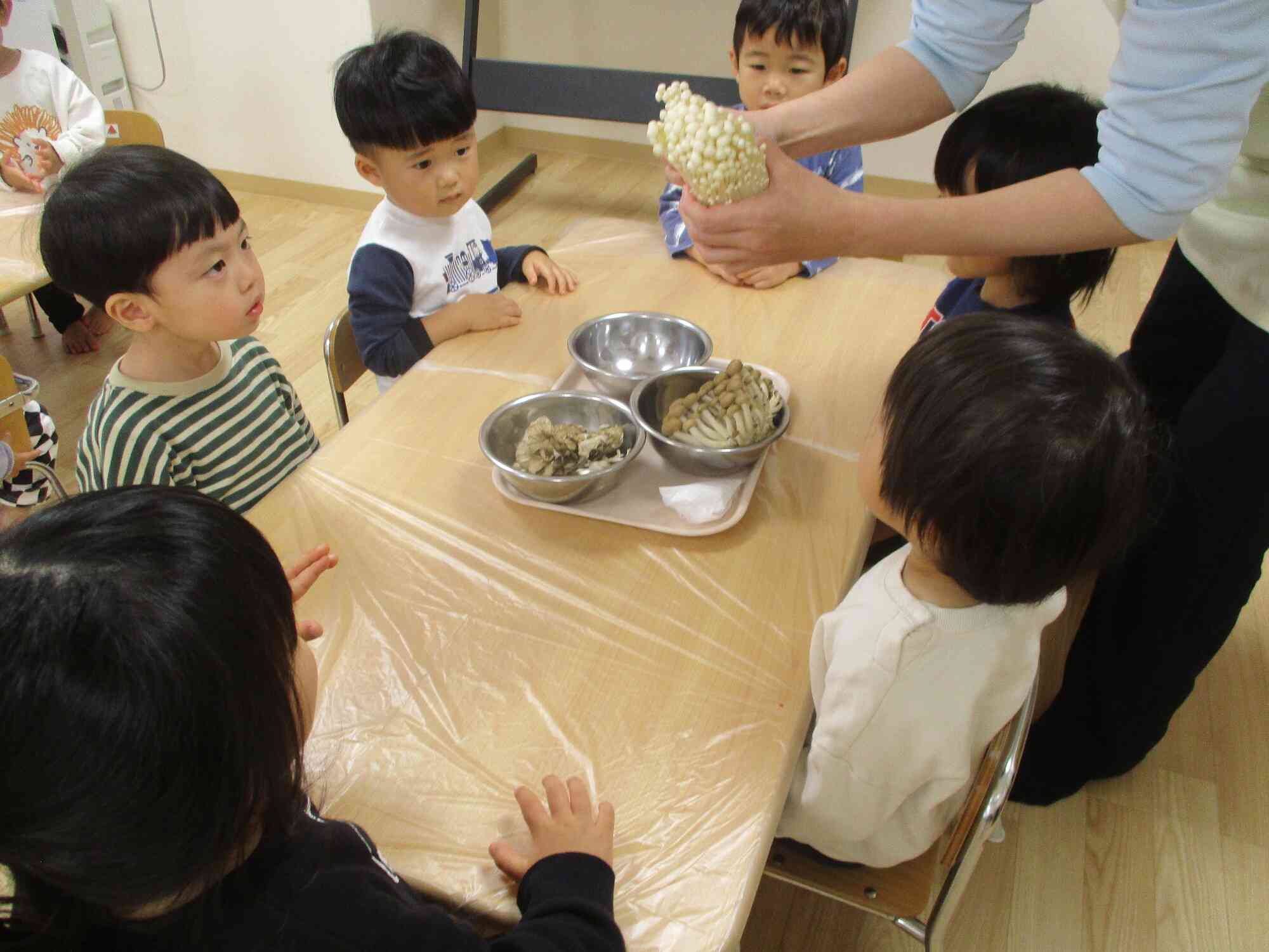 他にも色々なキノコがあるよ。