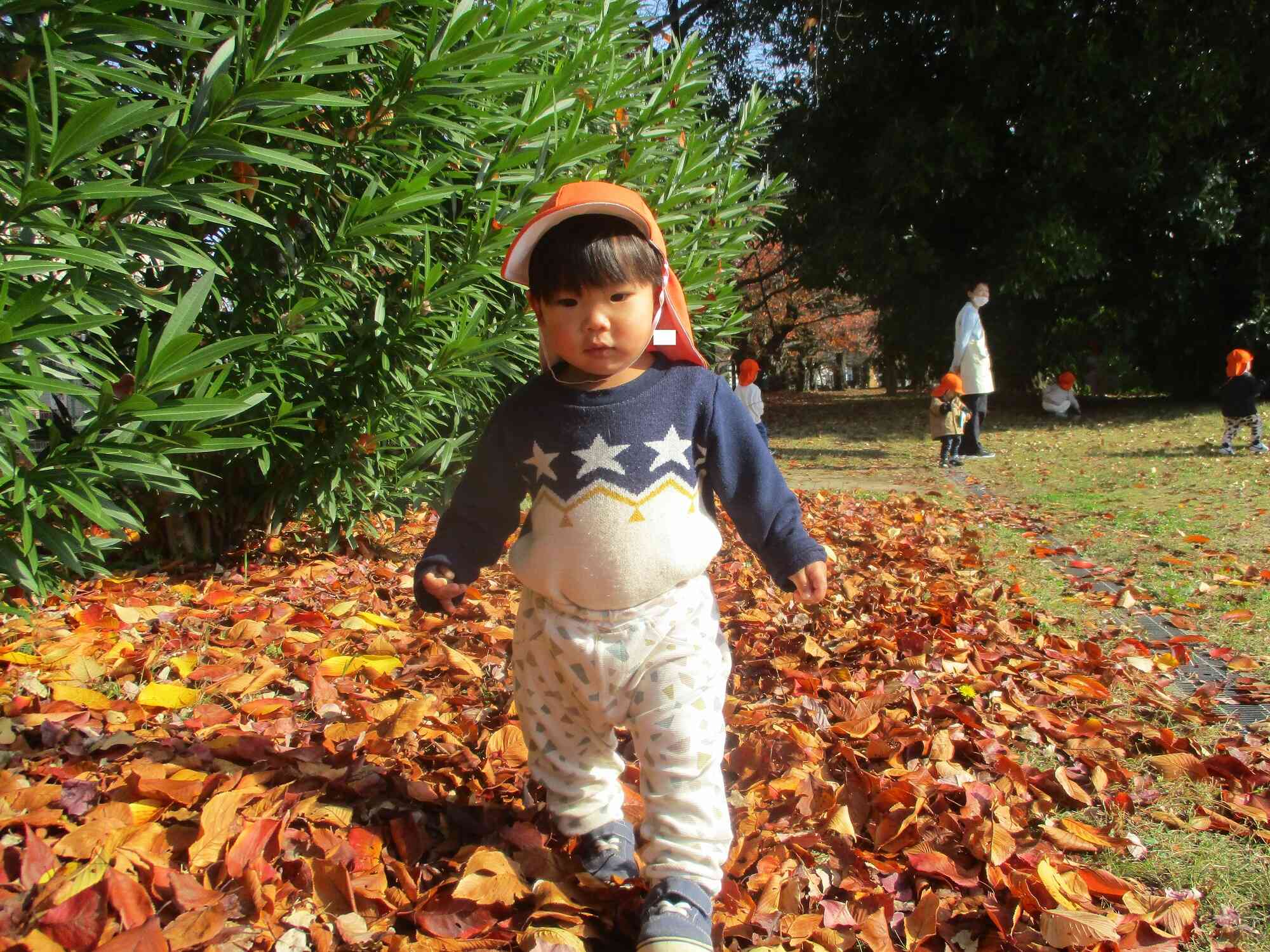 みんなでお散歩♪