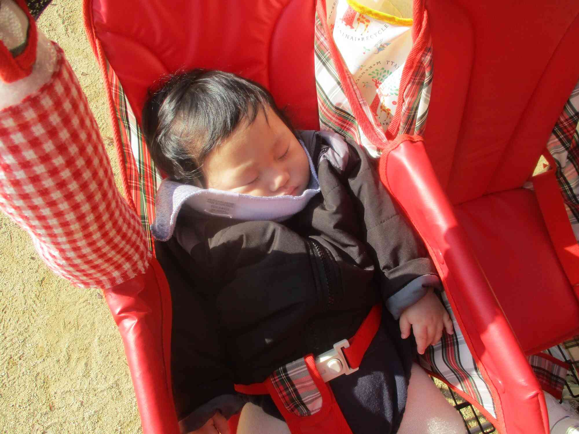 お日様ポカポカ気持ちいいな〜♪