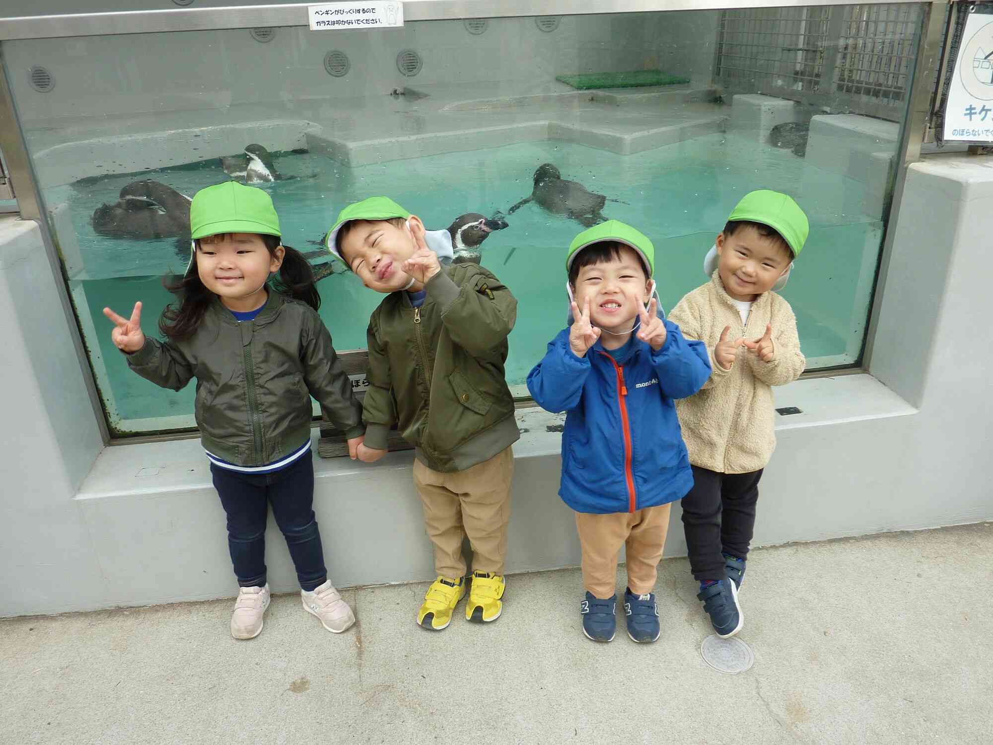 たくさんのペンギンさんとハイチーズ★