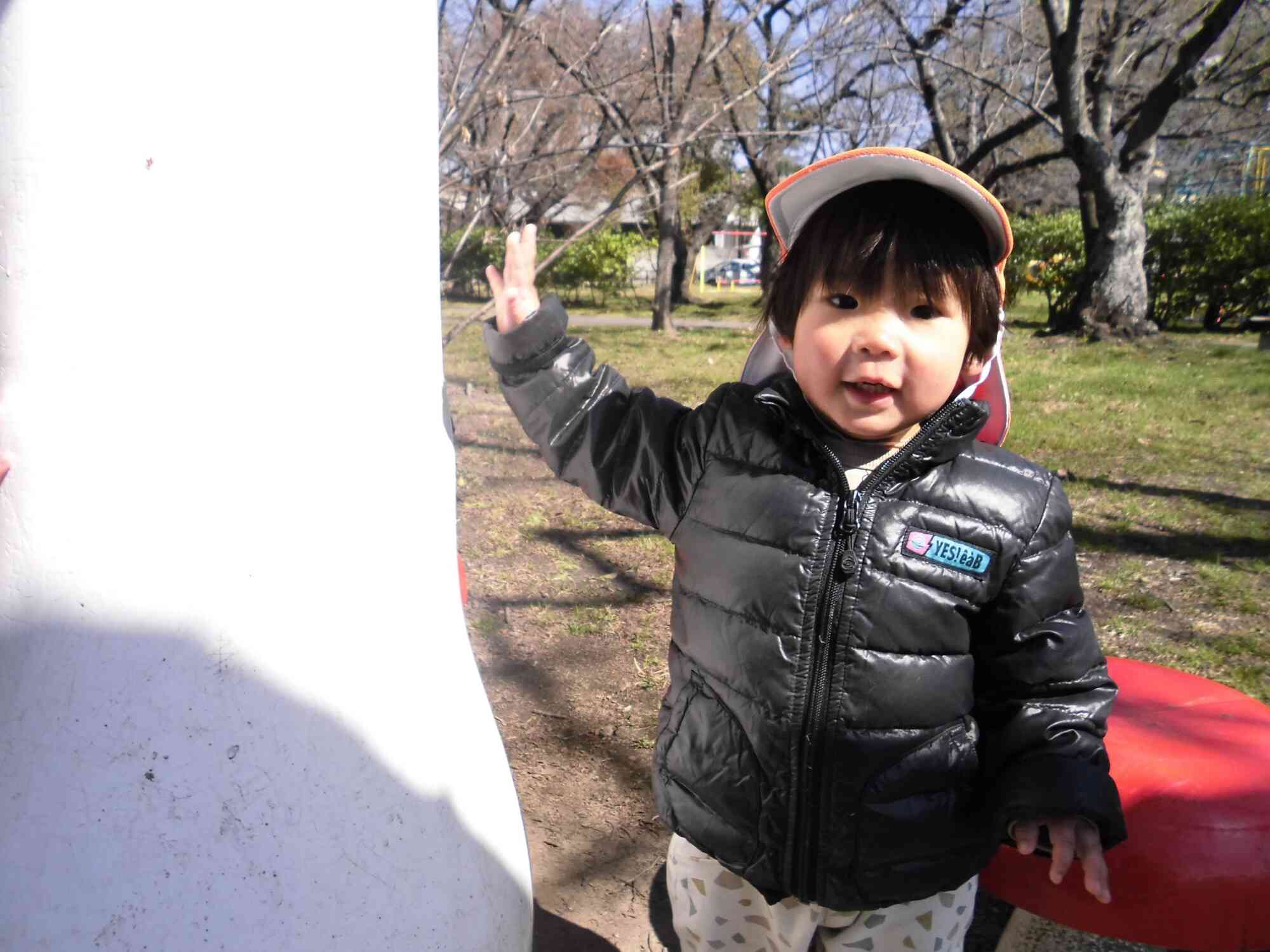 今週のひよこ組⭐︎