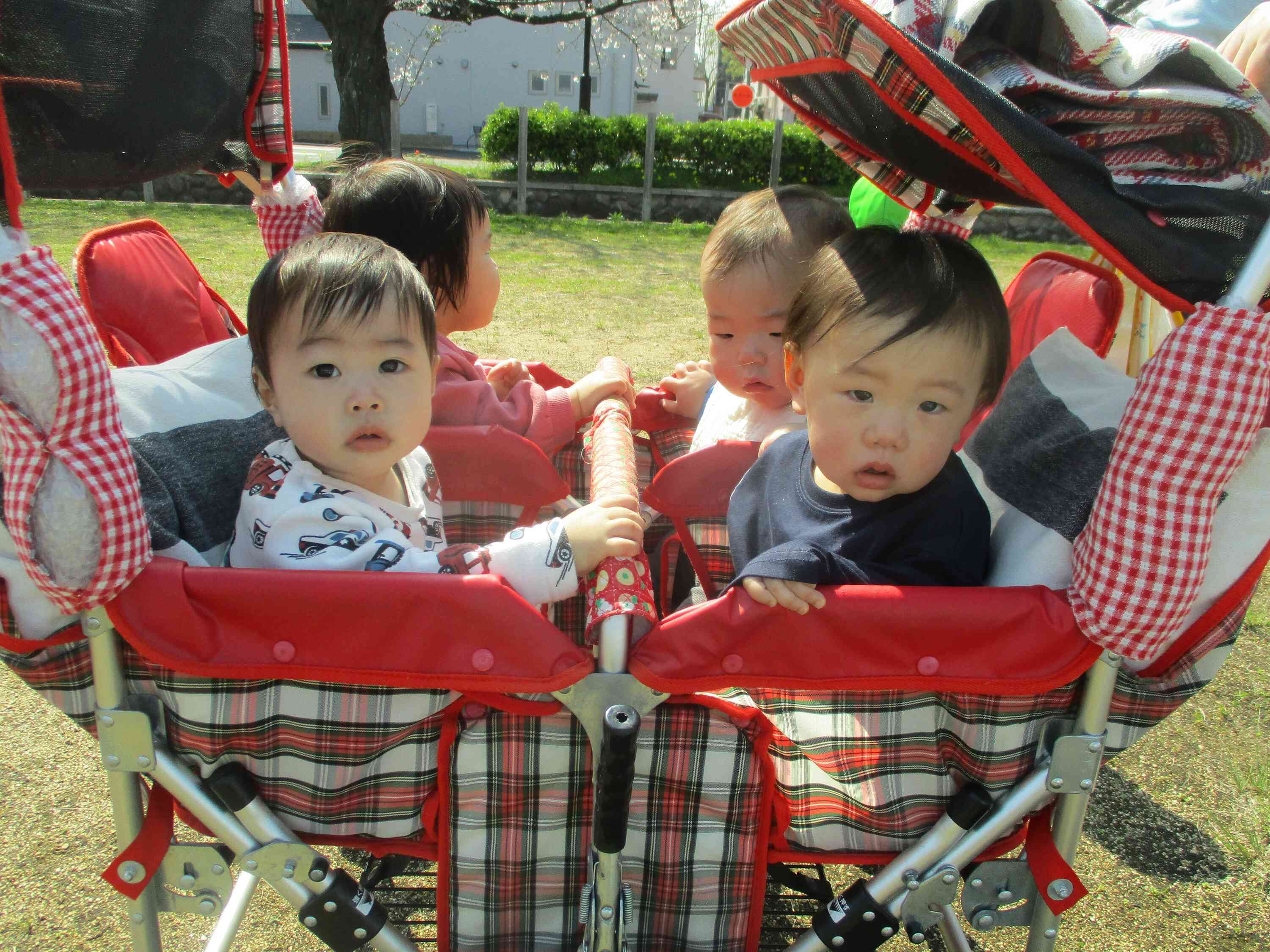 初めて散歩車に乗ったよ☆