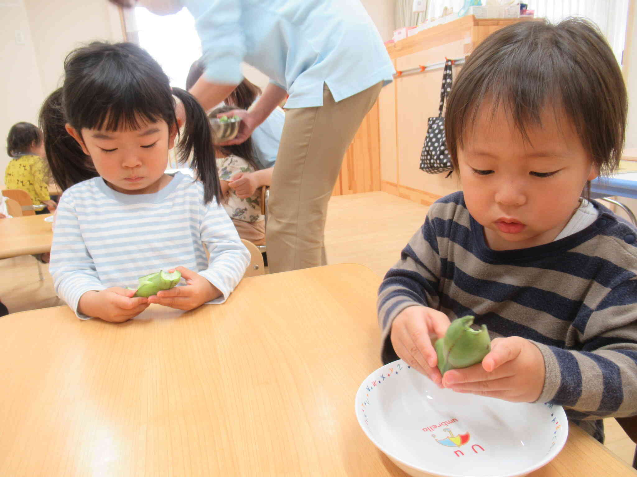 おっ！豆が出てきたぞ!!