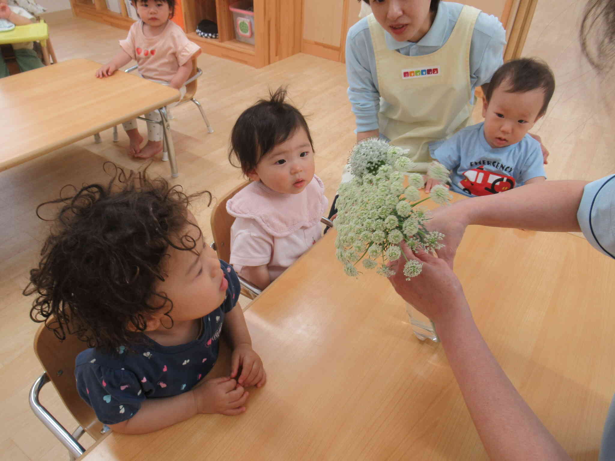 このお花は何になるのかな?