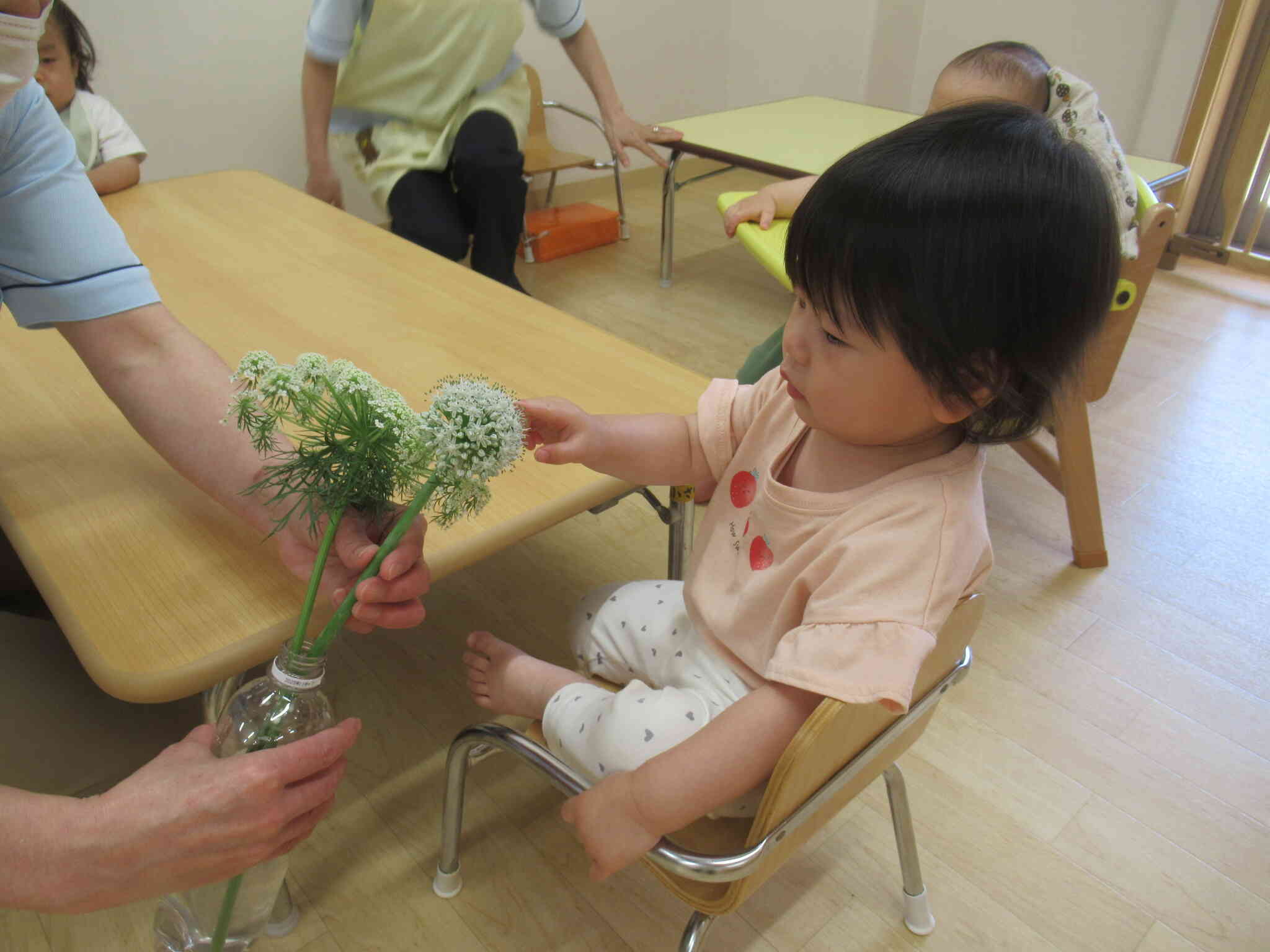 これがたまねぎのお花か～♪