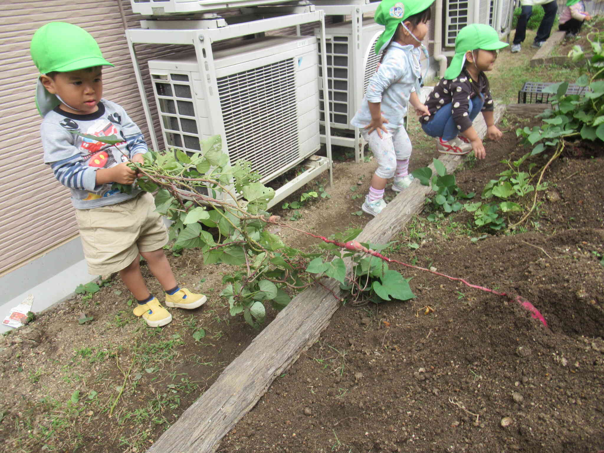 うんとこしょ！どっこいしょ