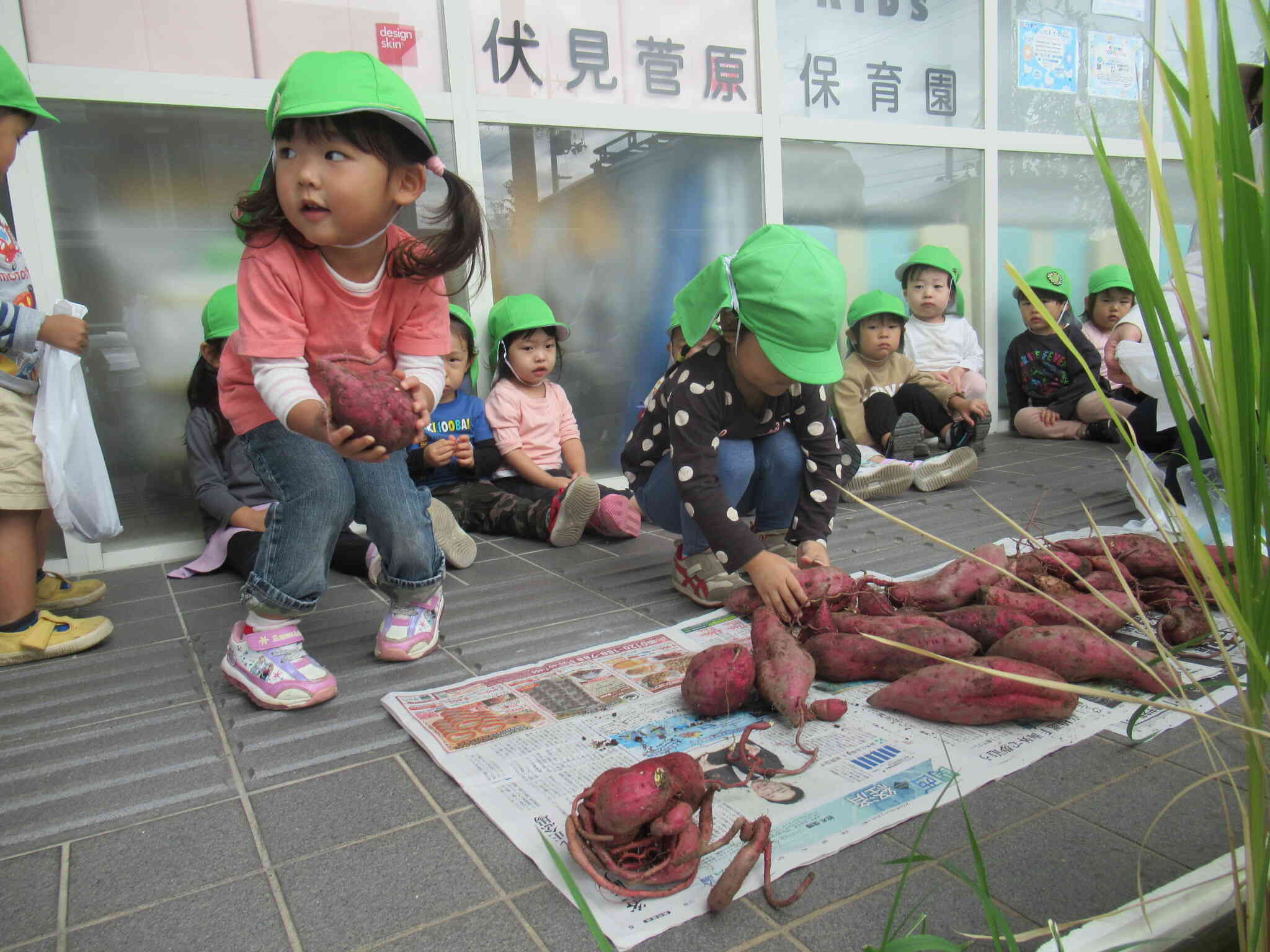 「このおいもにしよう～」