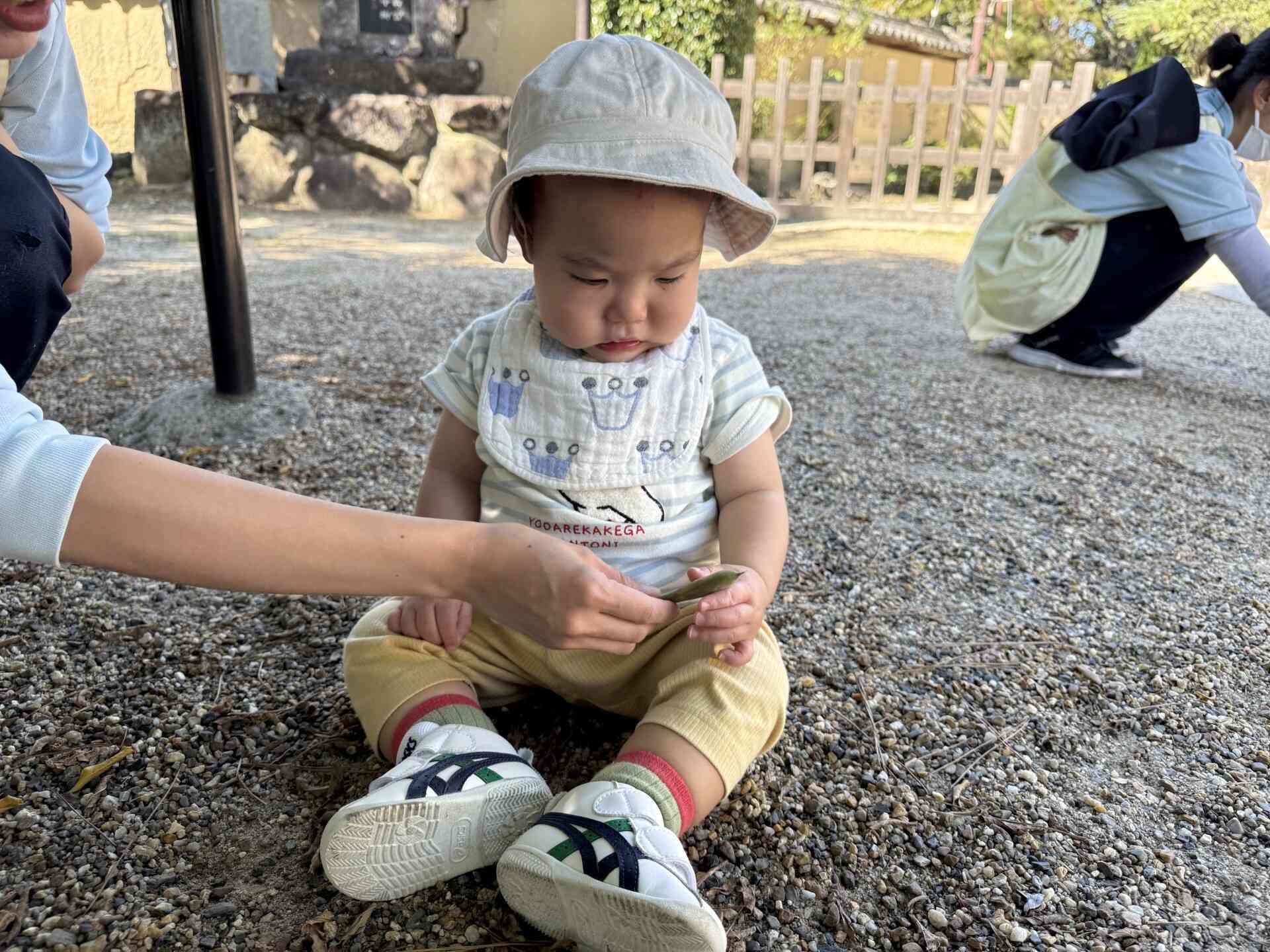 これなんだろう？
