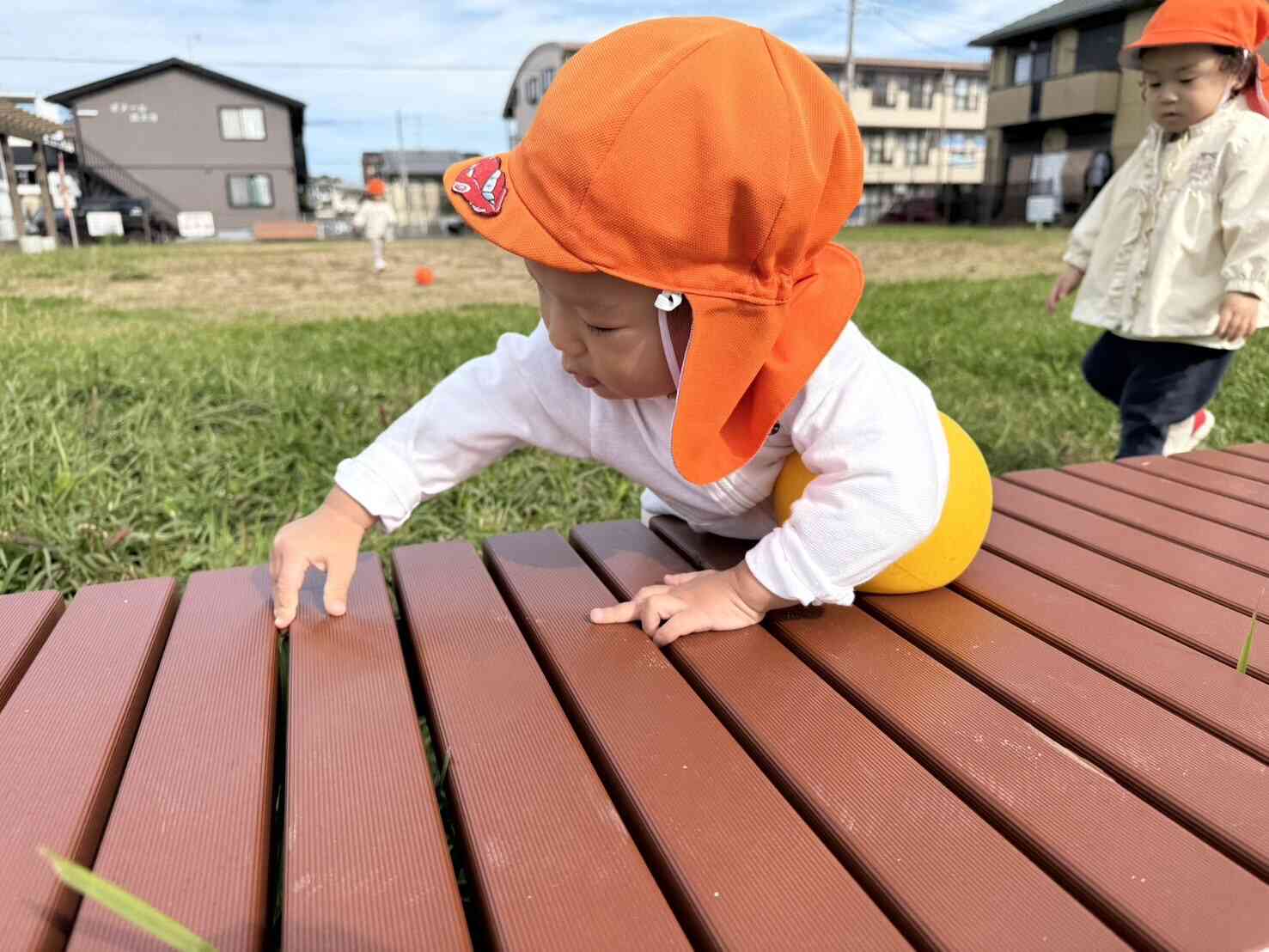 草が見える！ツンツン♪