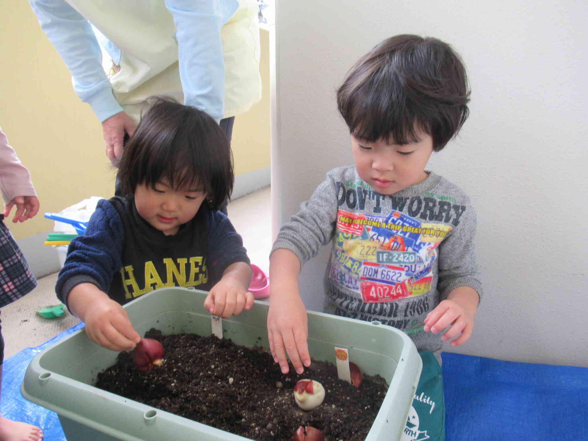 「そーっと、そーっとね」