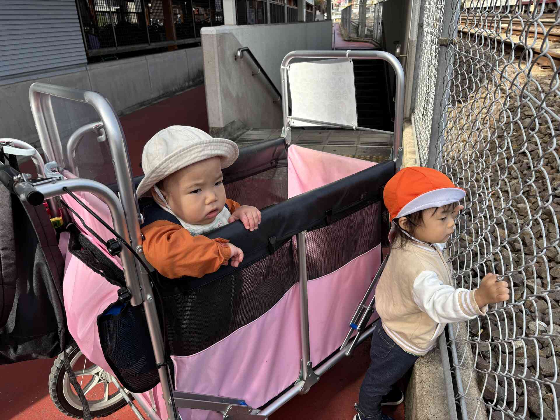 真剣な表情で観察しています・・・