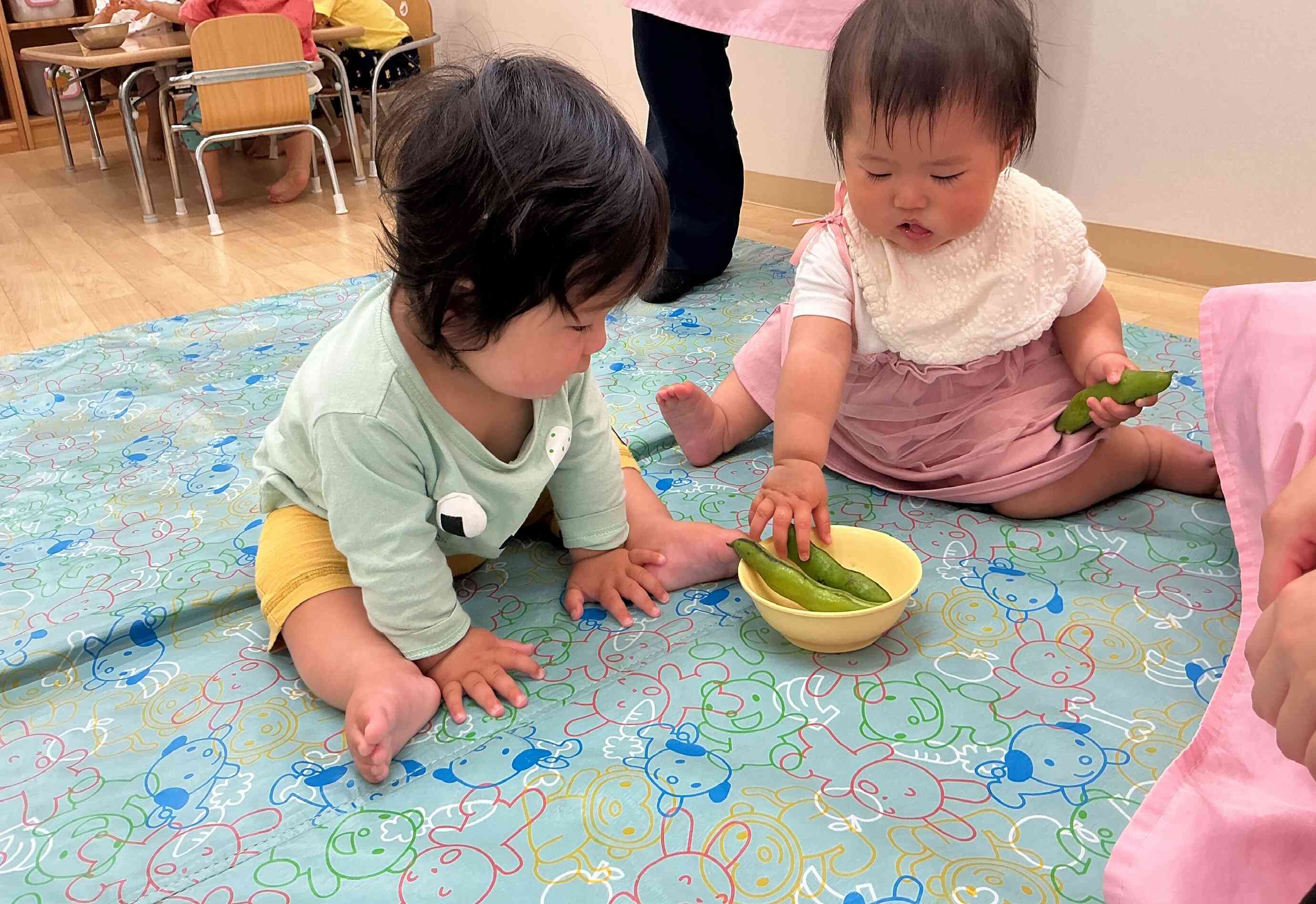 これがそら豆か~