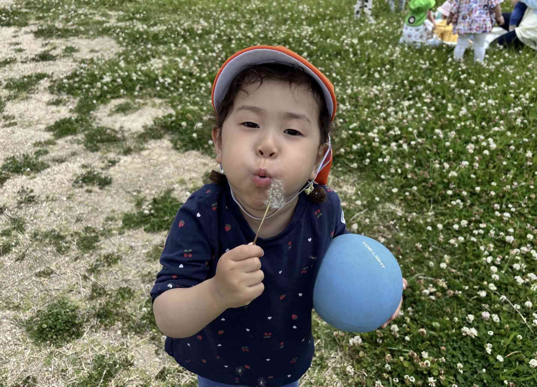 大好きな綿毛 フーッてしてとんでいけ〜