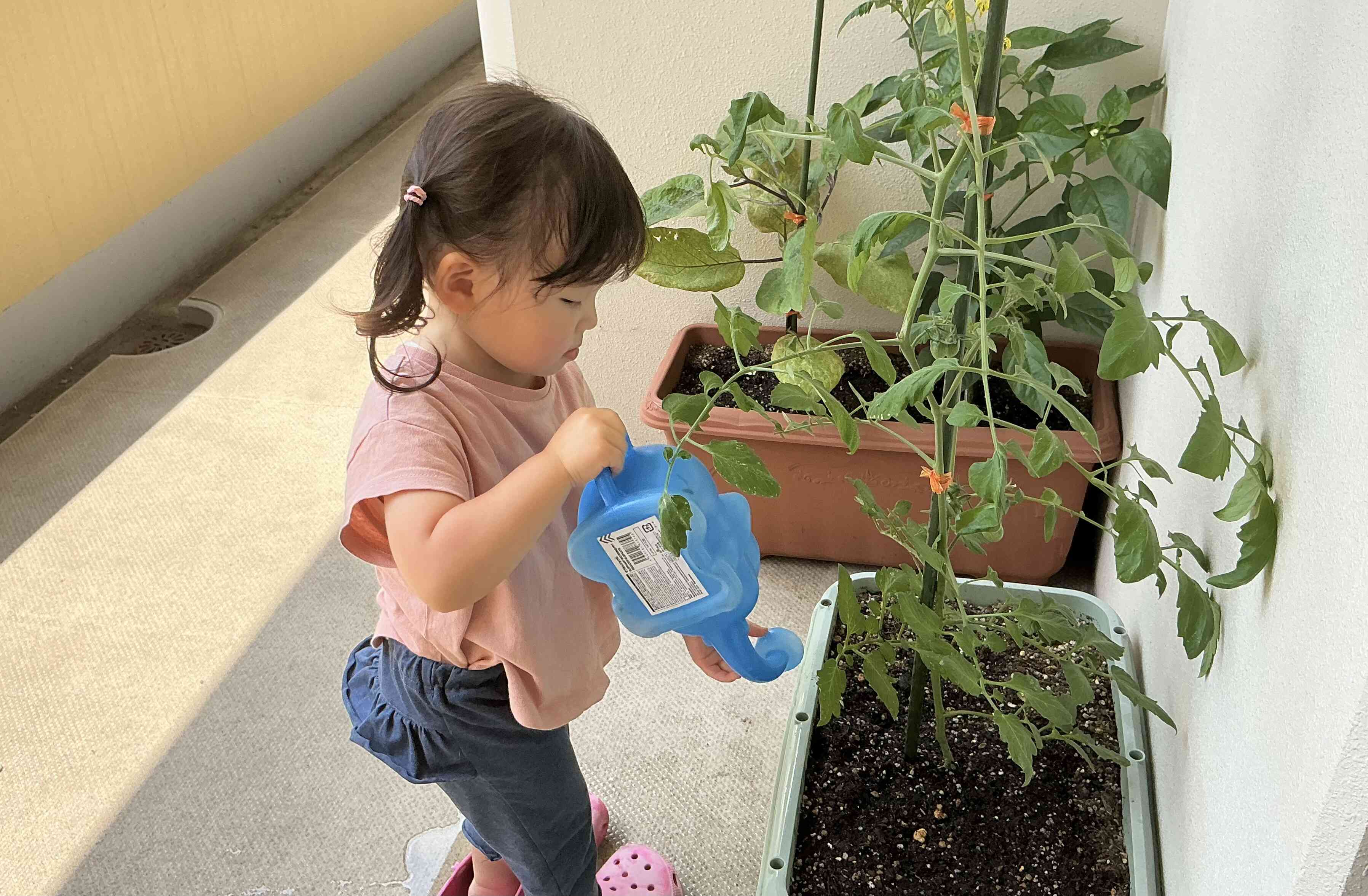 お水をこぼさないように…  大きくなぁれ！