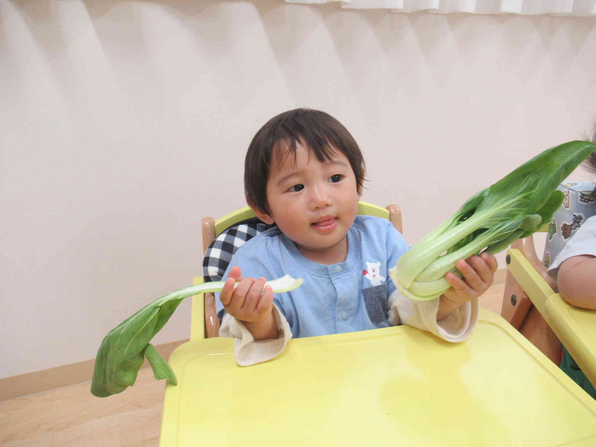 チンゲン菜の葉っぱをはがしてみたよ。