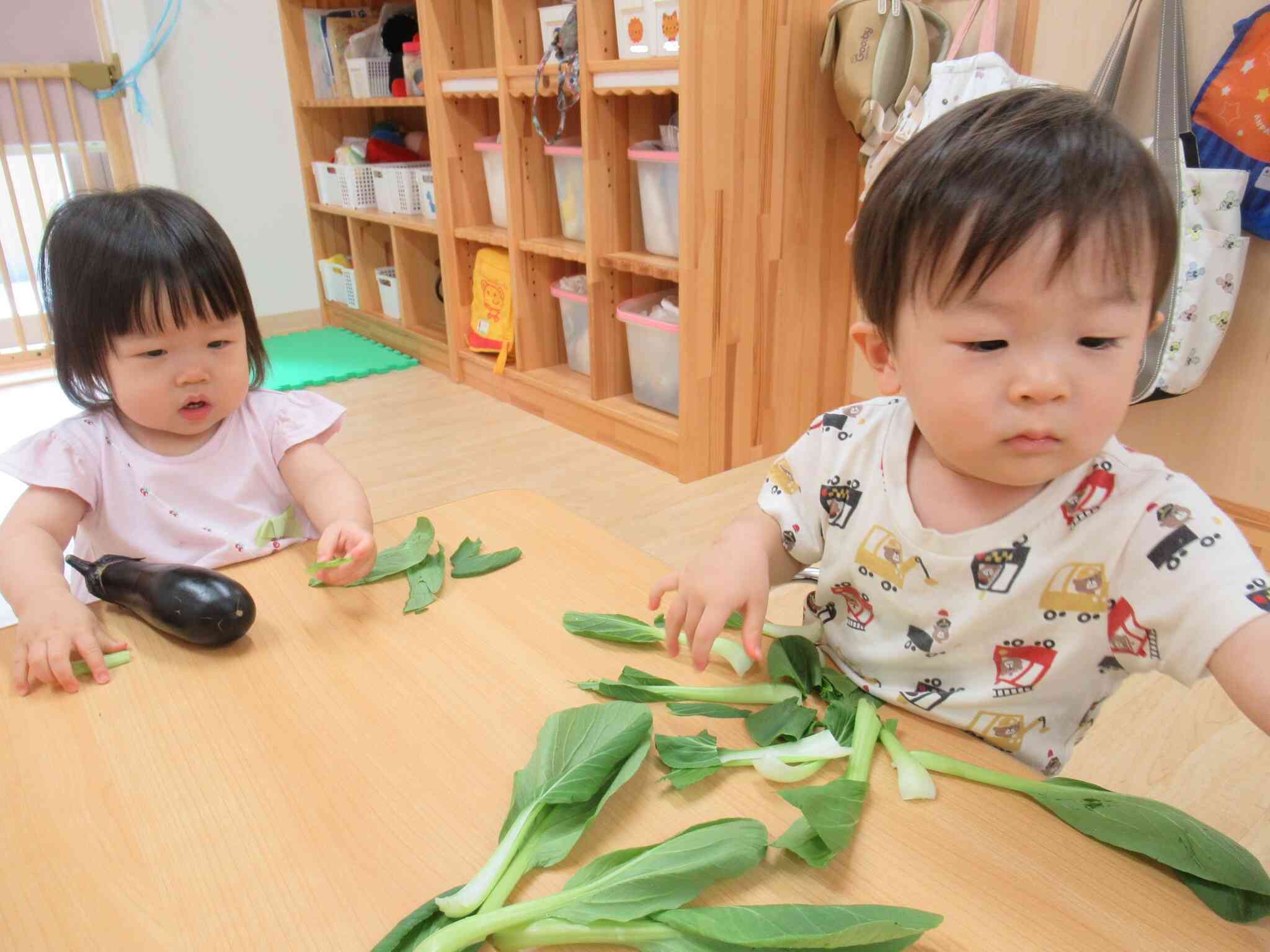 チンゲン菜の解体終了‼