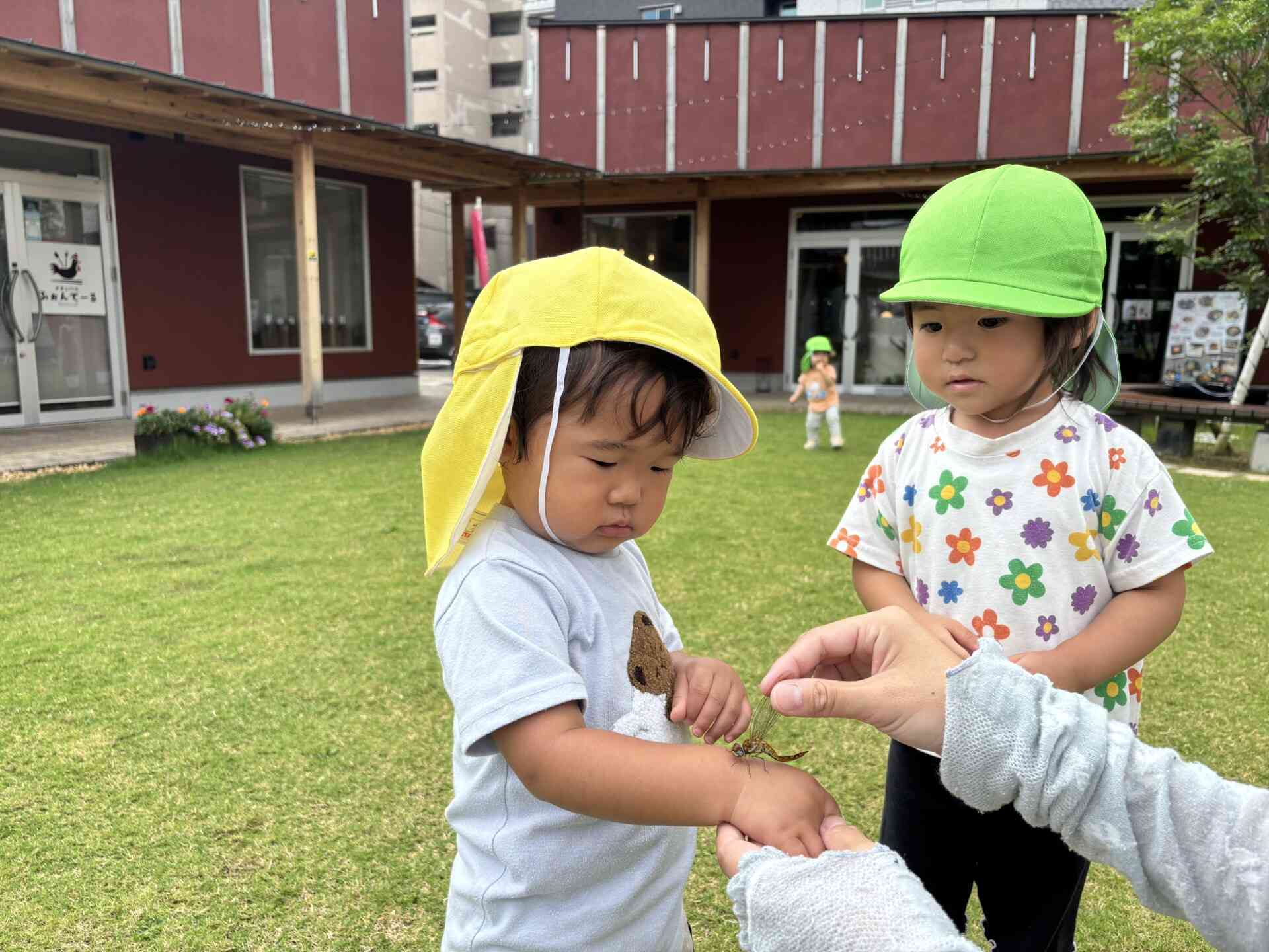 ぼくの手にのってる?!少しくすぐったいな〜!
