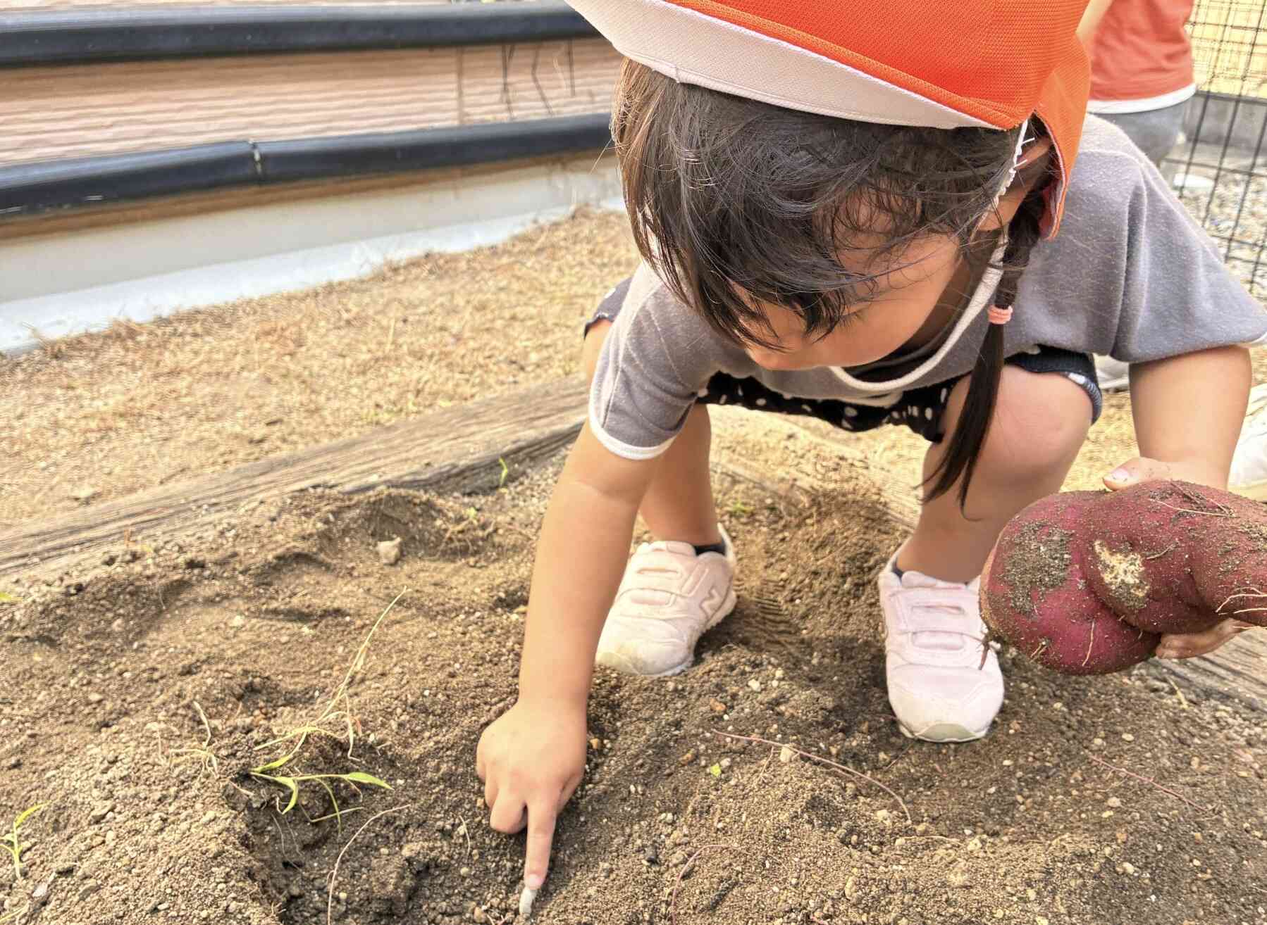 おいもほりで新しい発見!土の中からこんにちは♪