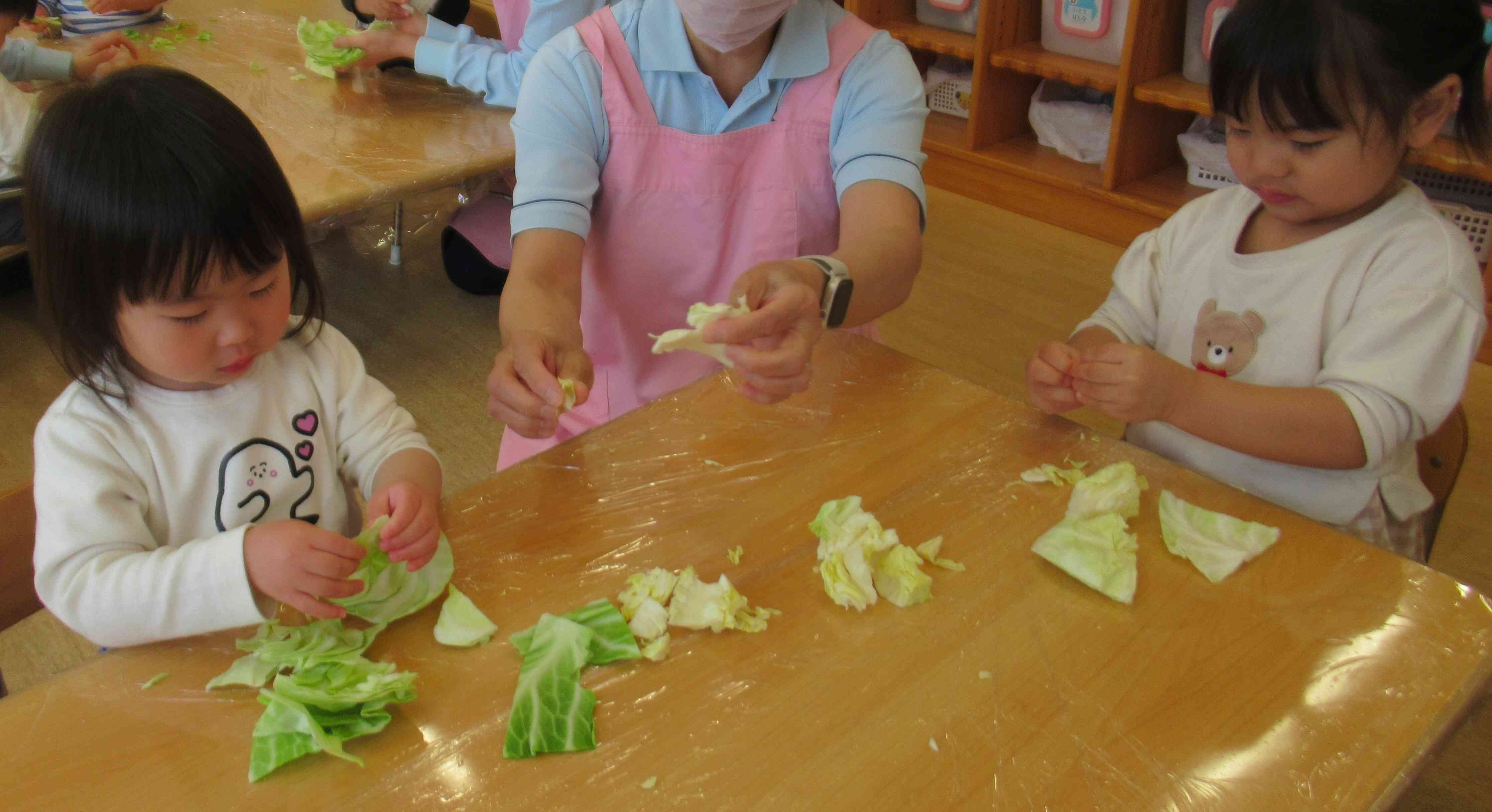あおむしさんいるかな？