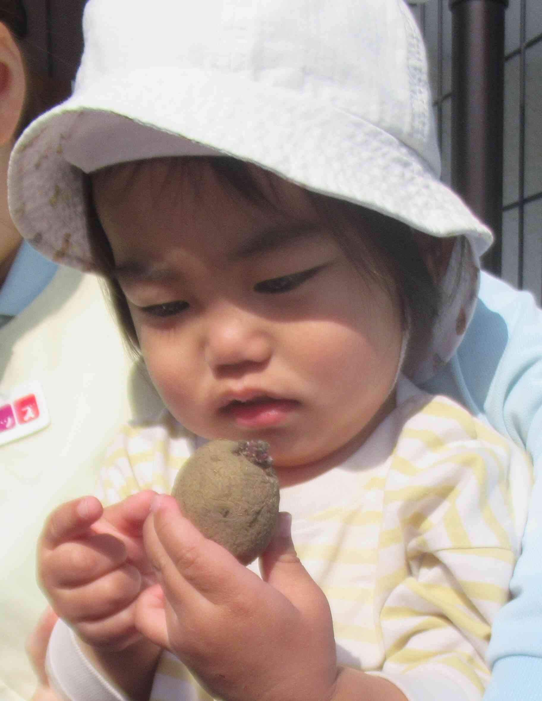 さわってみよう