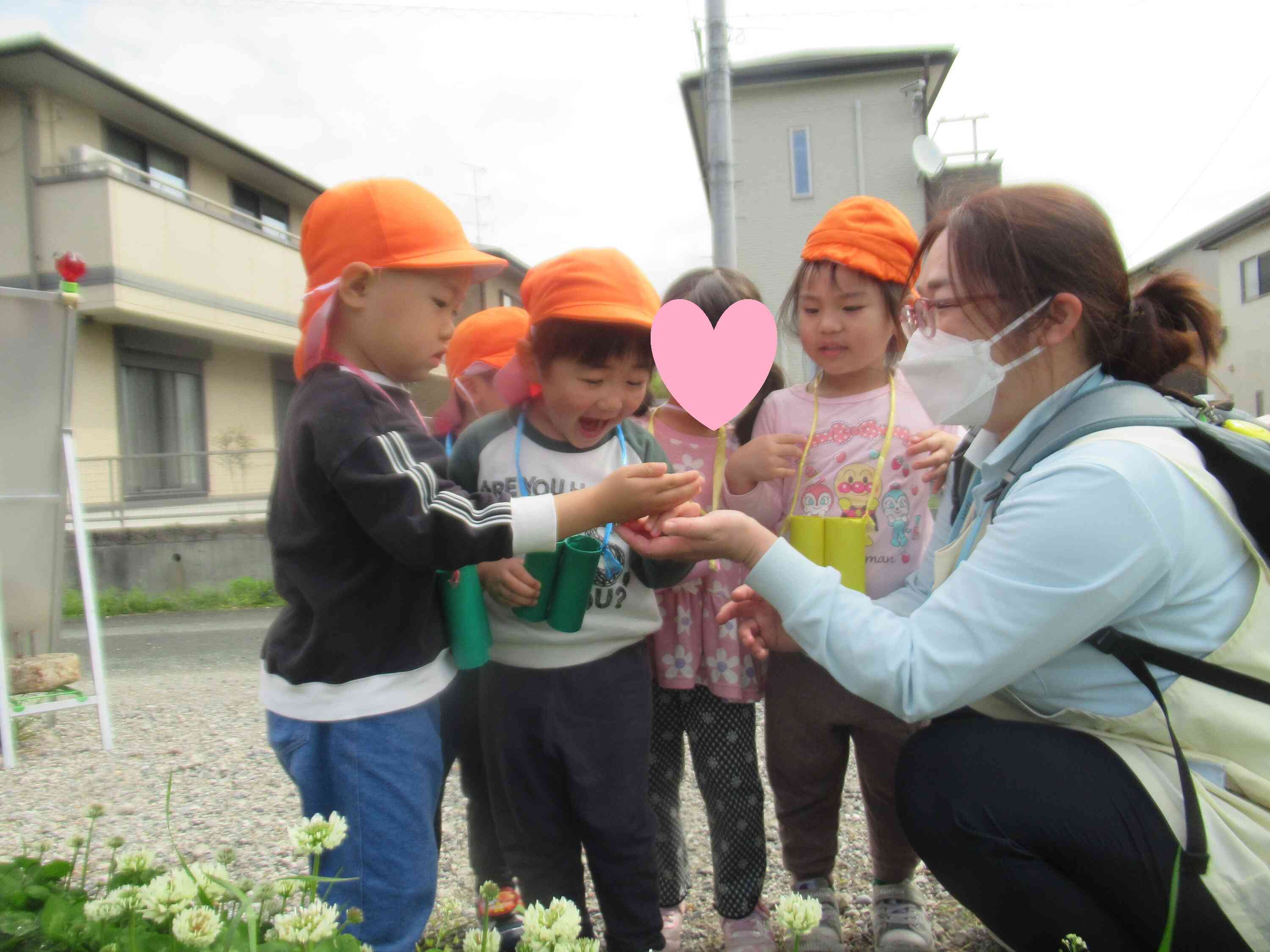 てんとう虫みつけた！