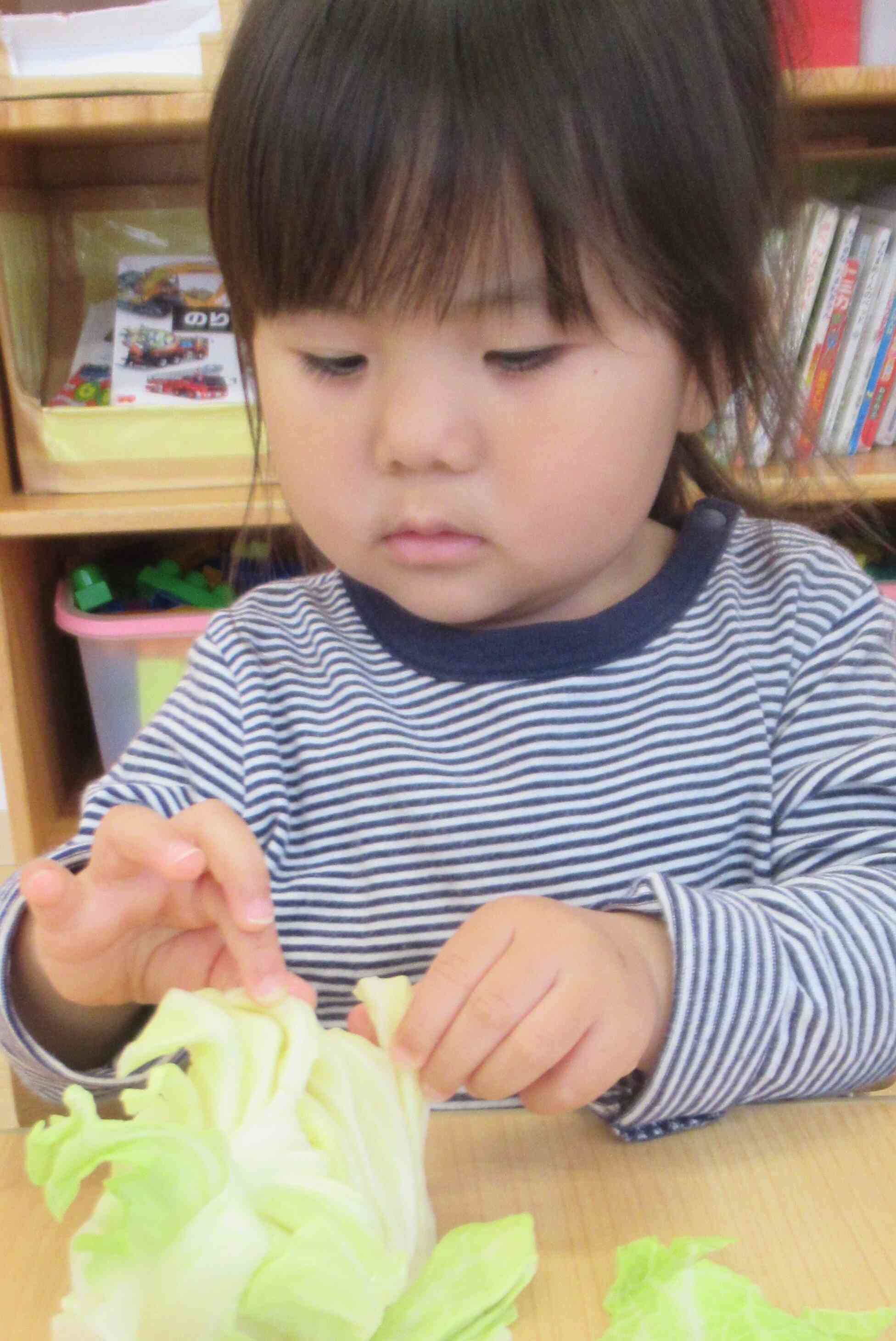 ちぎってみよう