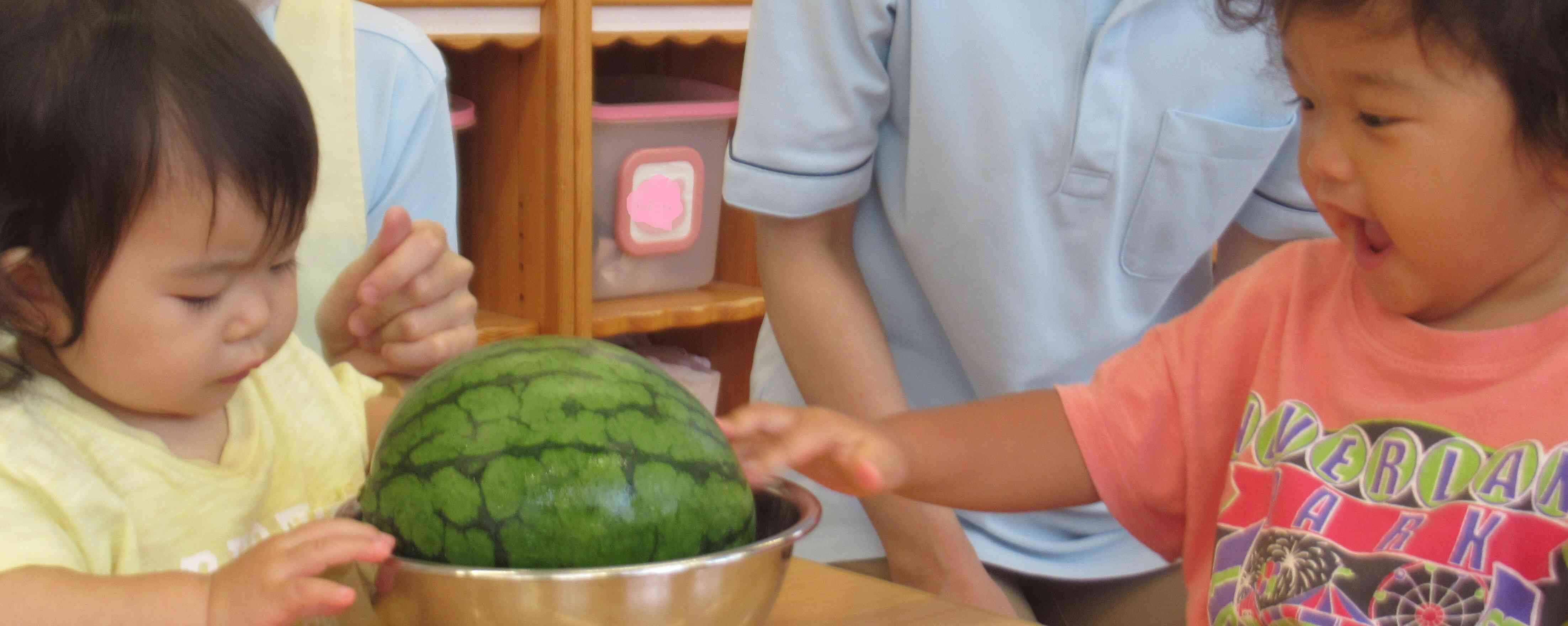 すいかに触ってみよう