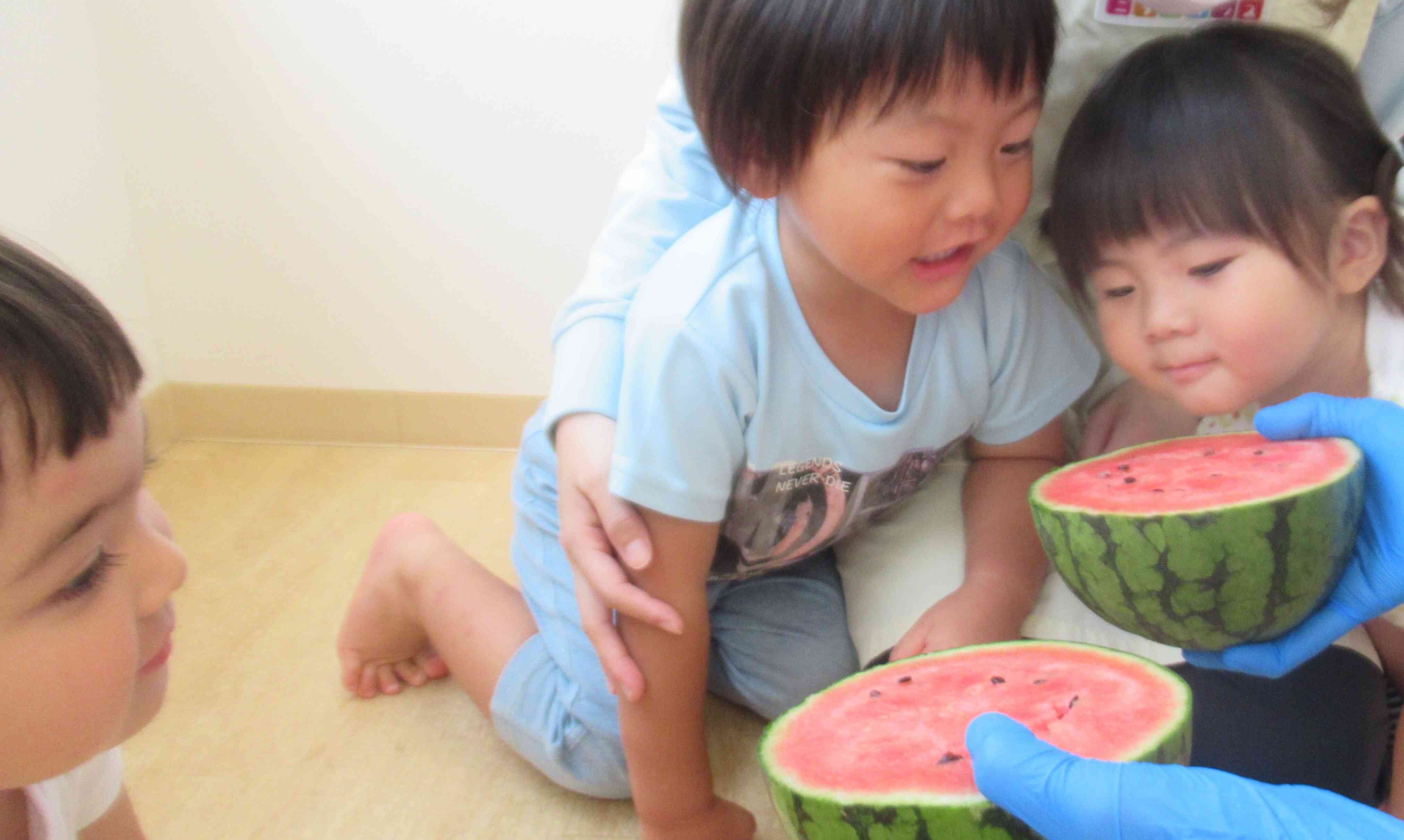 中を見てみよう