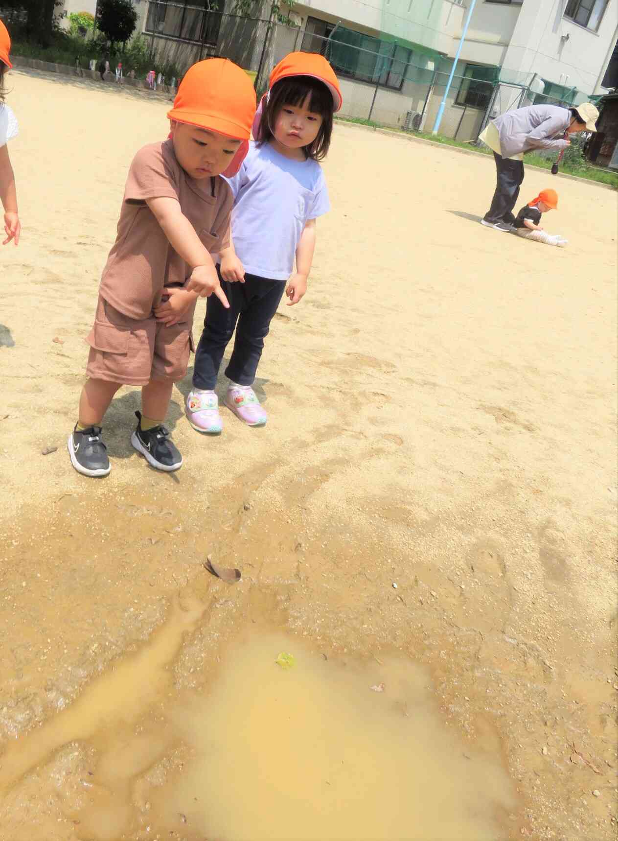 水たまりを見つけたよ！