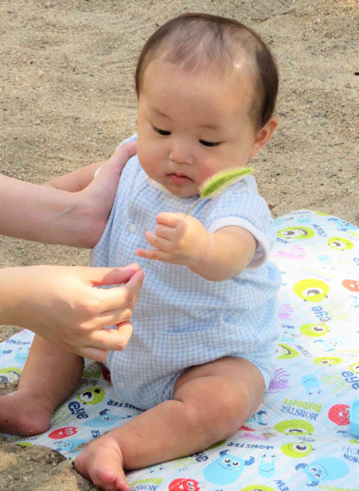 公園へお散歩に出掛けました☆