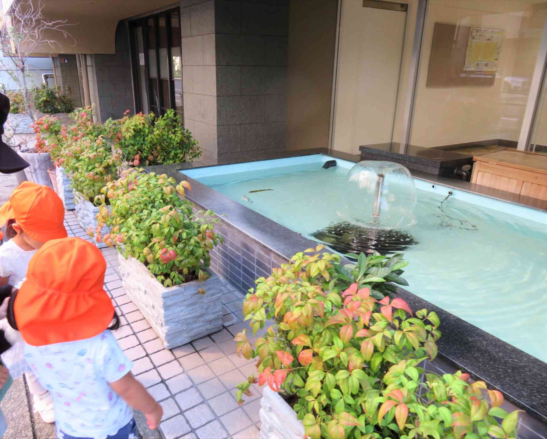 マンションのエントランスにお魚がいるよ！
