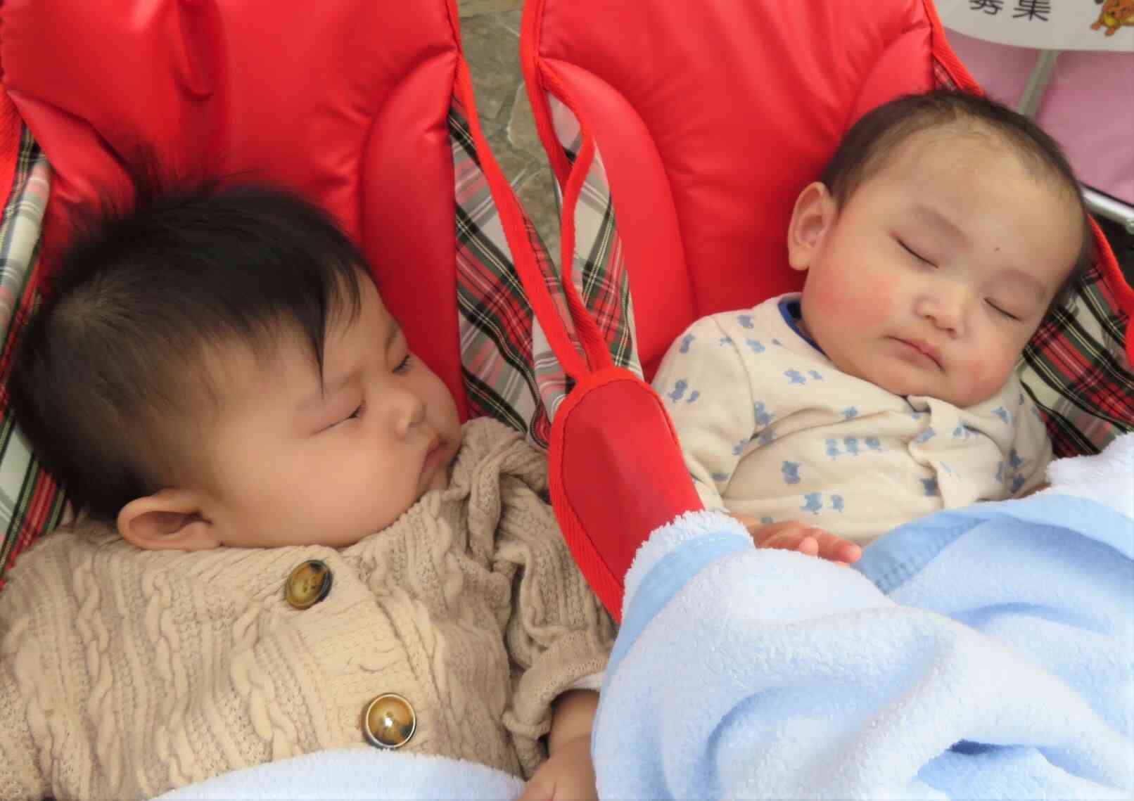 カートの揺られてスヤスヤ～