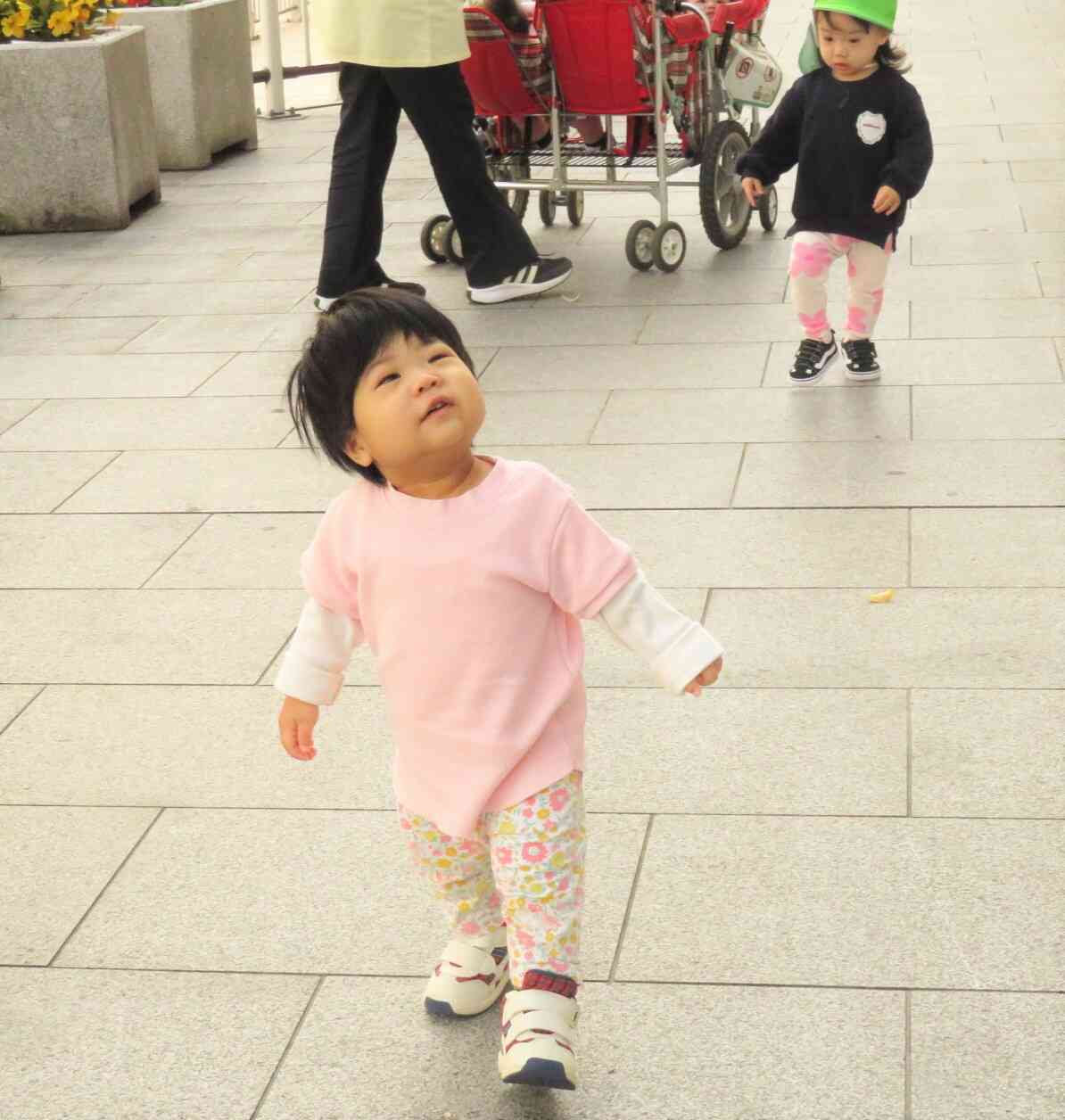 ん？上に何かあるのかな？