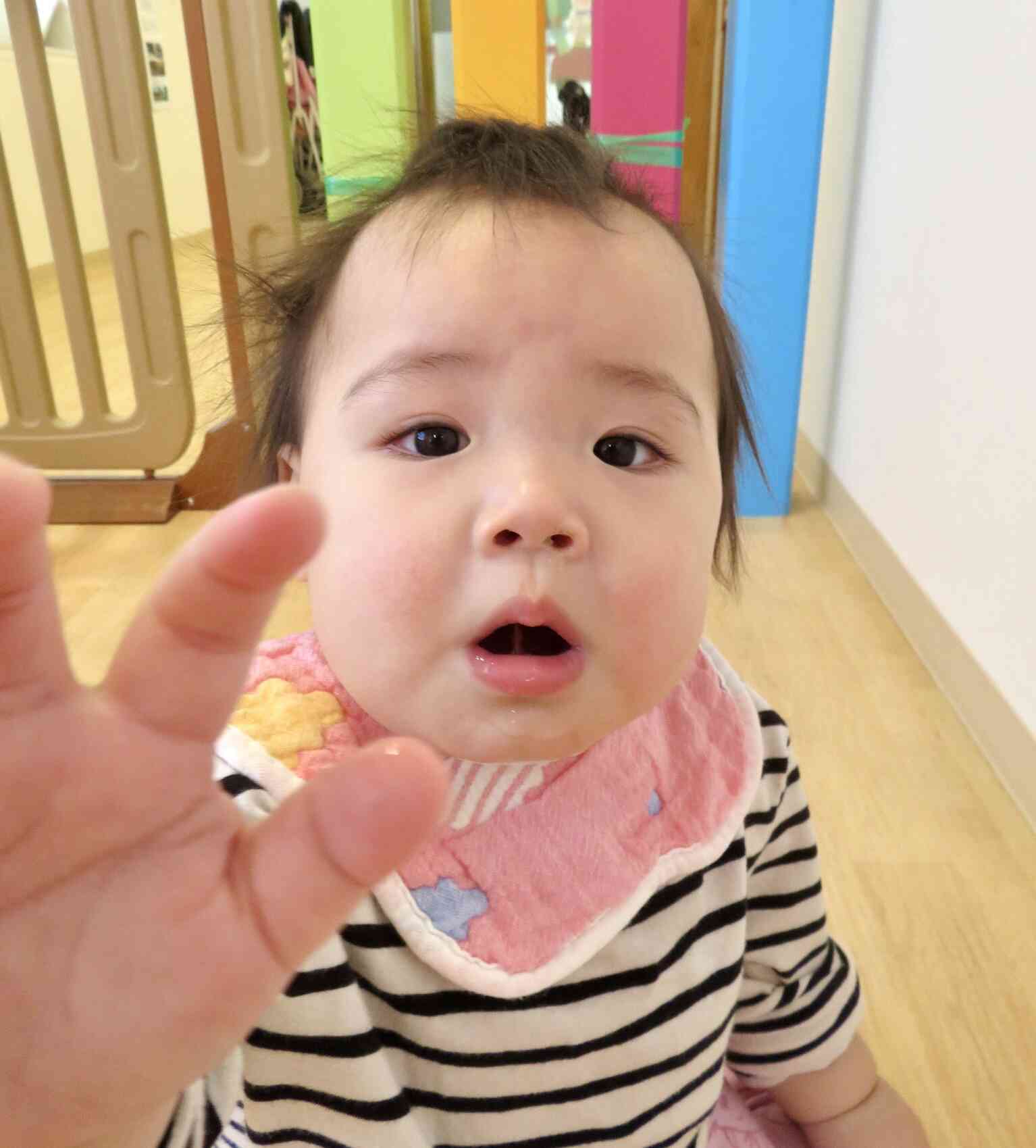 カメラが気になるようです⭐︎