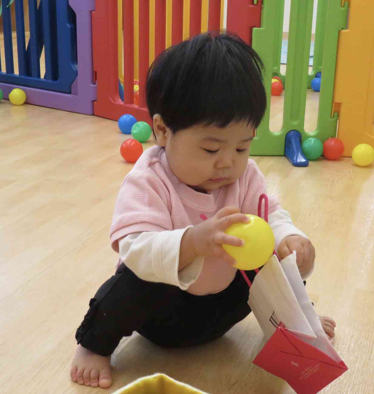 ボール集めに夢中です⭐︎