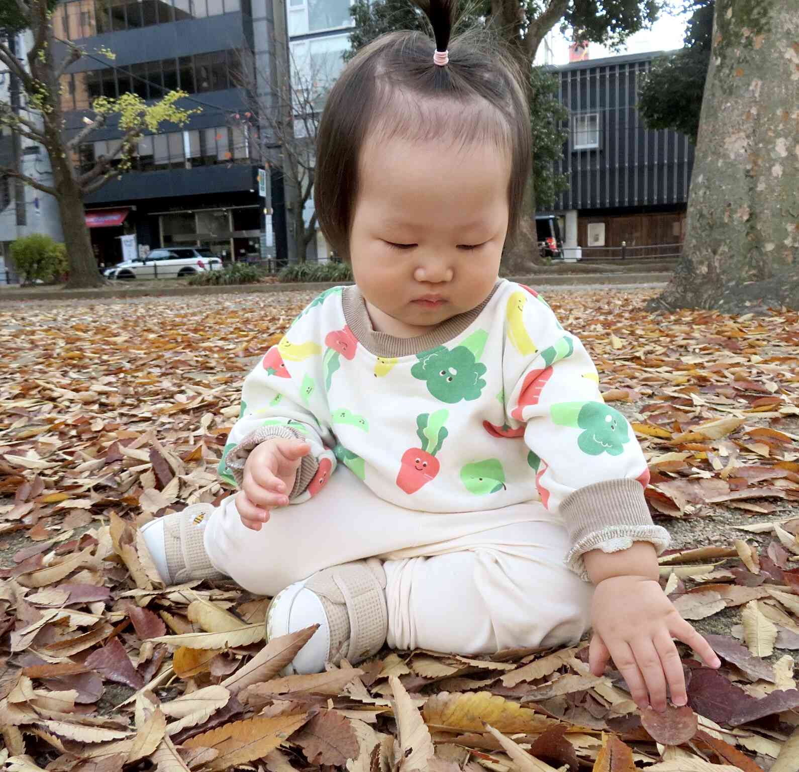 落ち葉の絨毯でいっぱいですね⭐︎