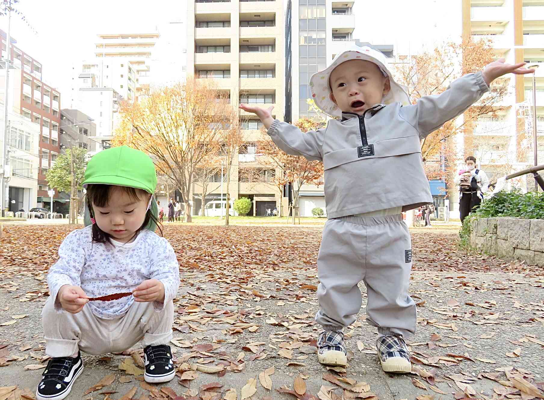 落ち葉がいっぱい⭐︎