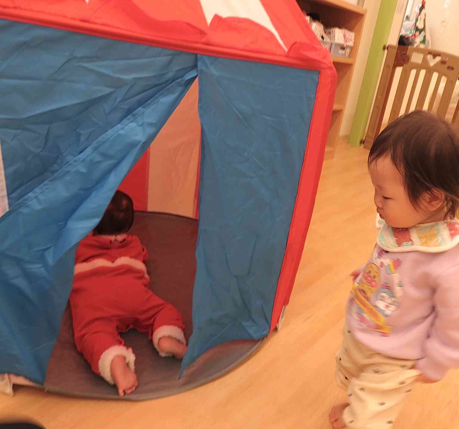 テントの中が気になるみたいですね