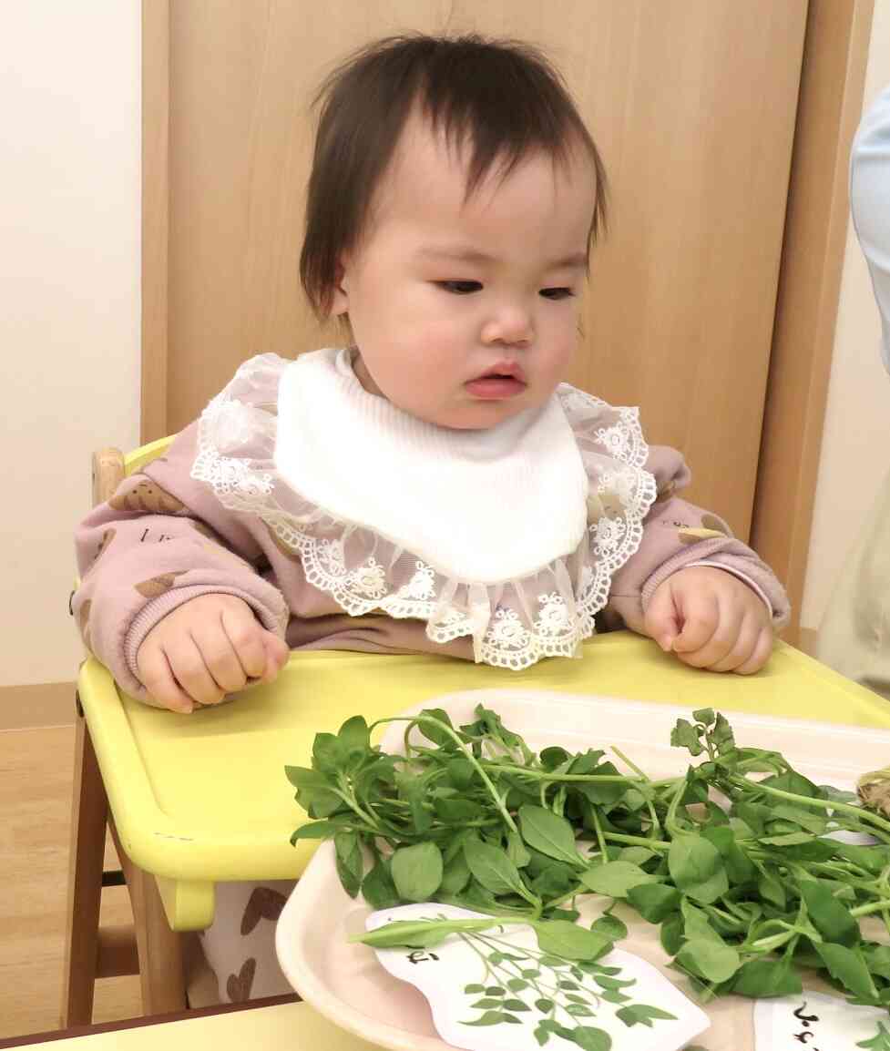 何から触ってみようかな？