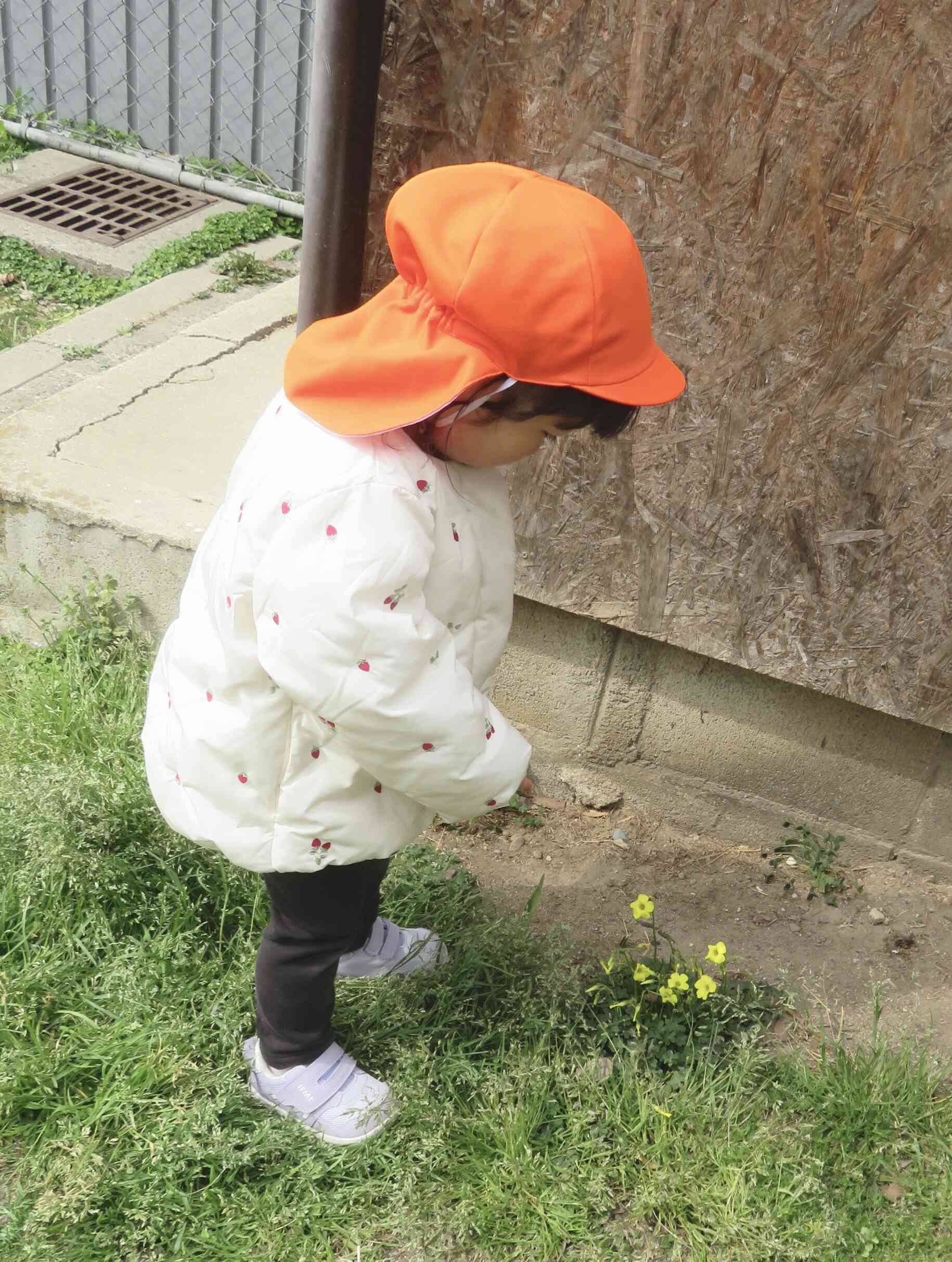 あっ!小さなお花見つけたよ♡