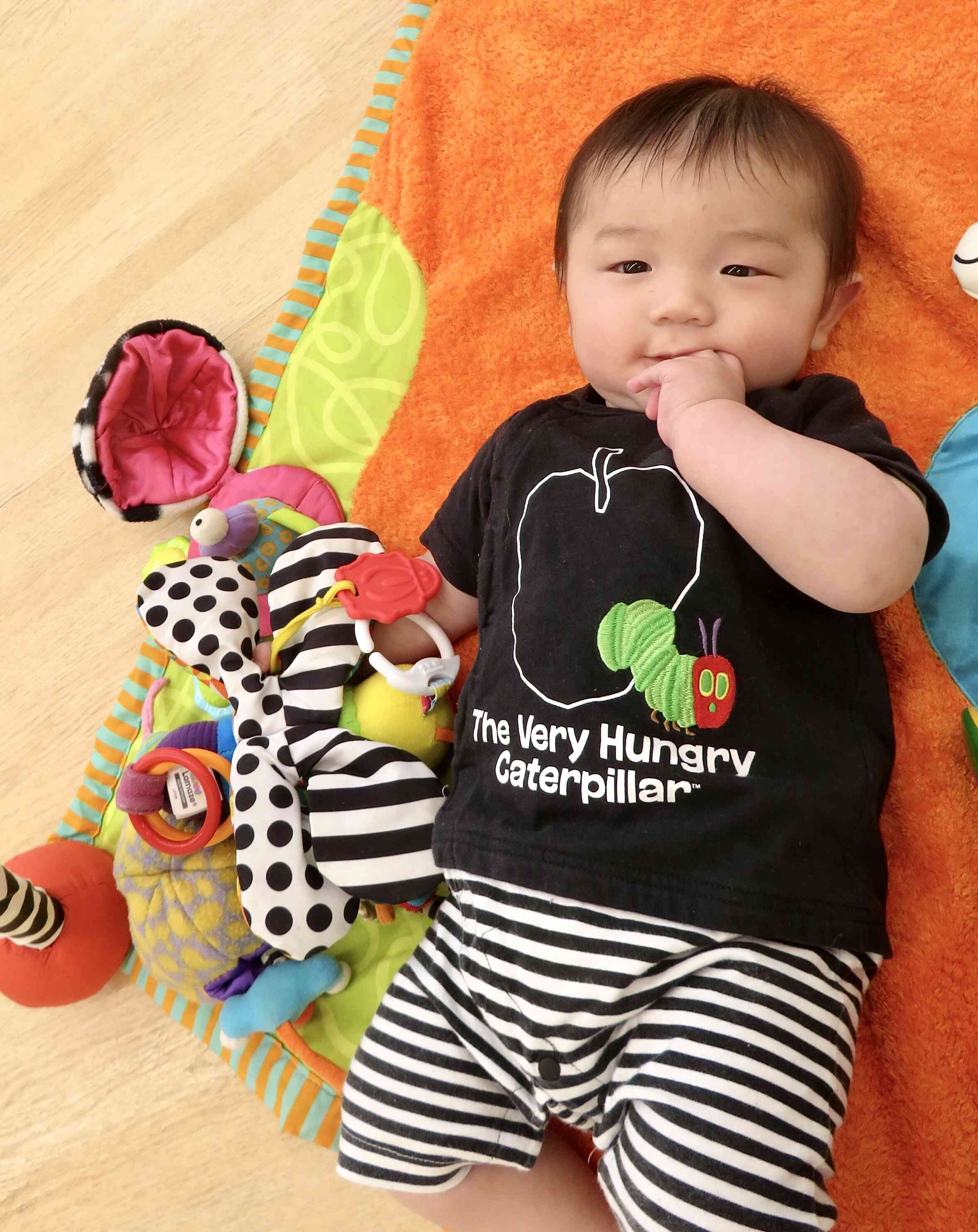 ⭐︎新年度が始まりました⭐︎