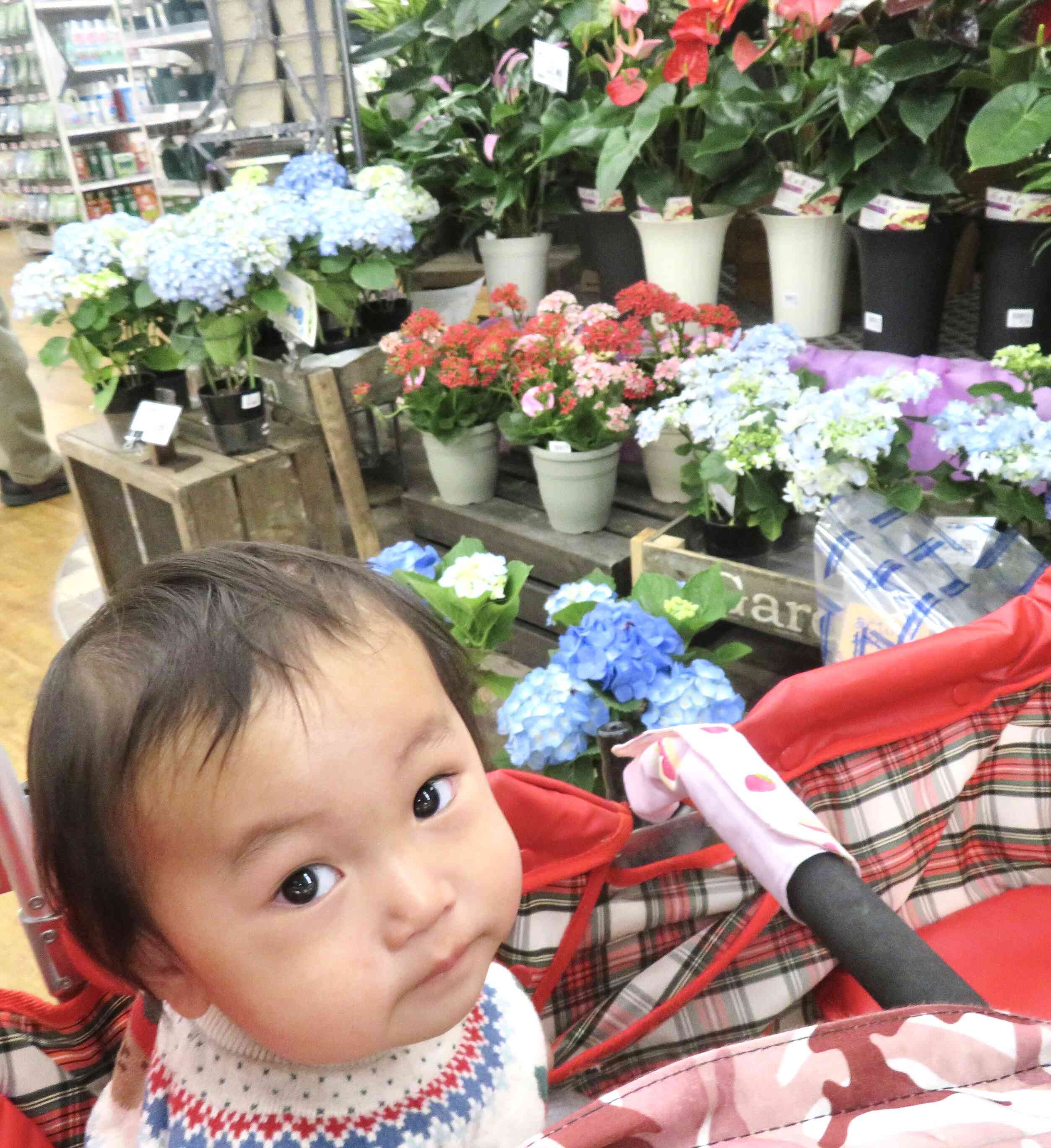 ゆったり土曜日保育♩