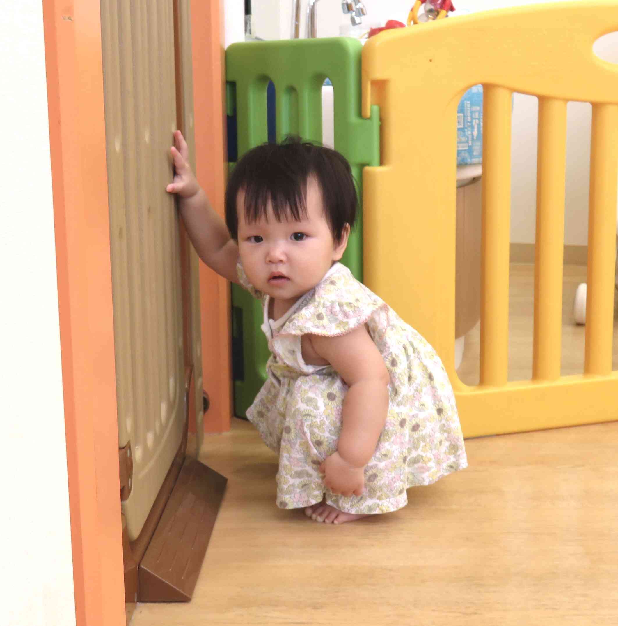 何か見えたのかな?