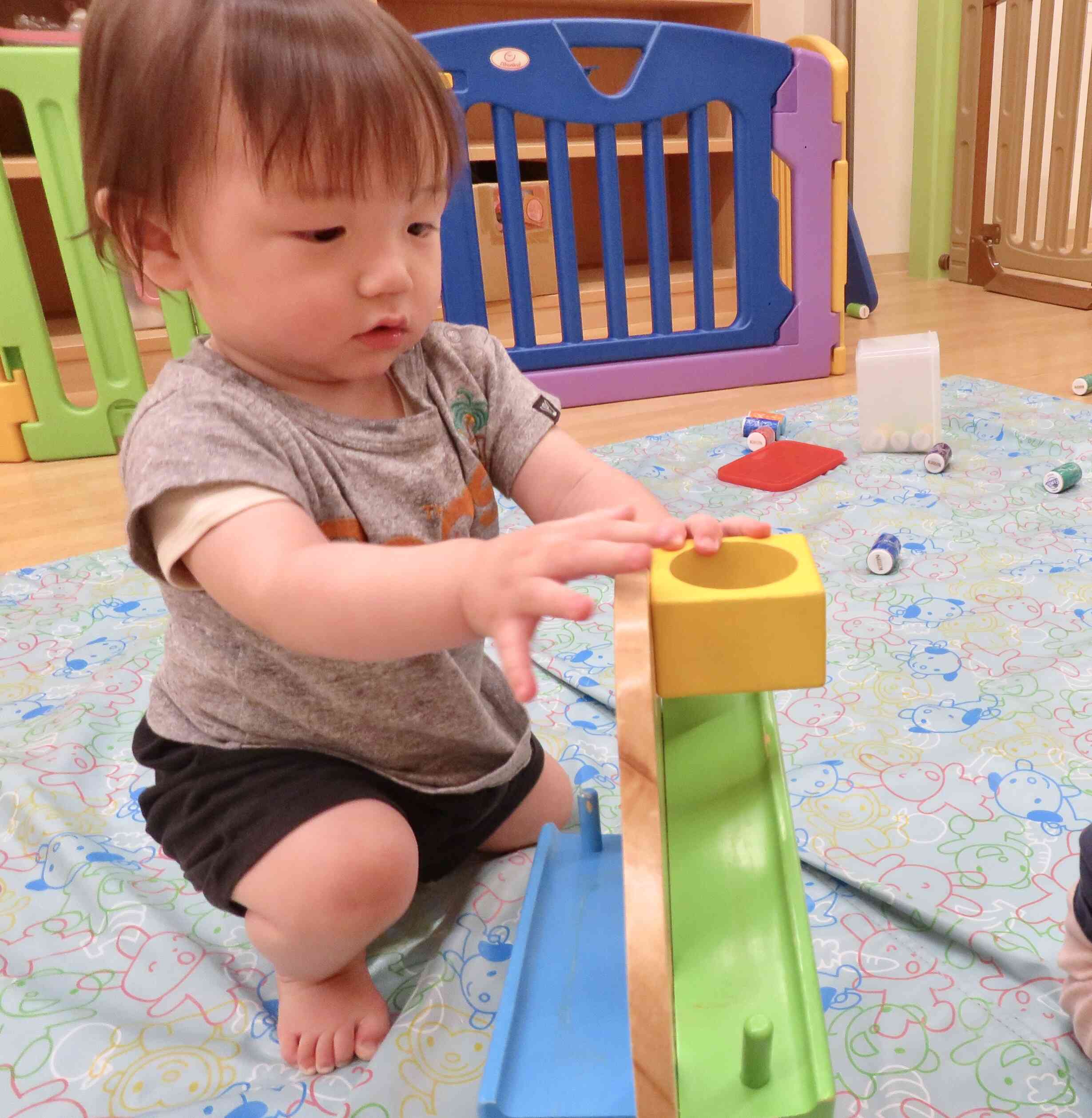 ボール落としに興味津々です♡