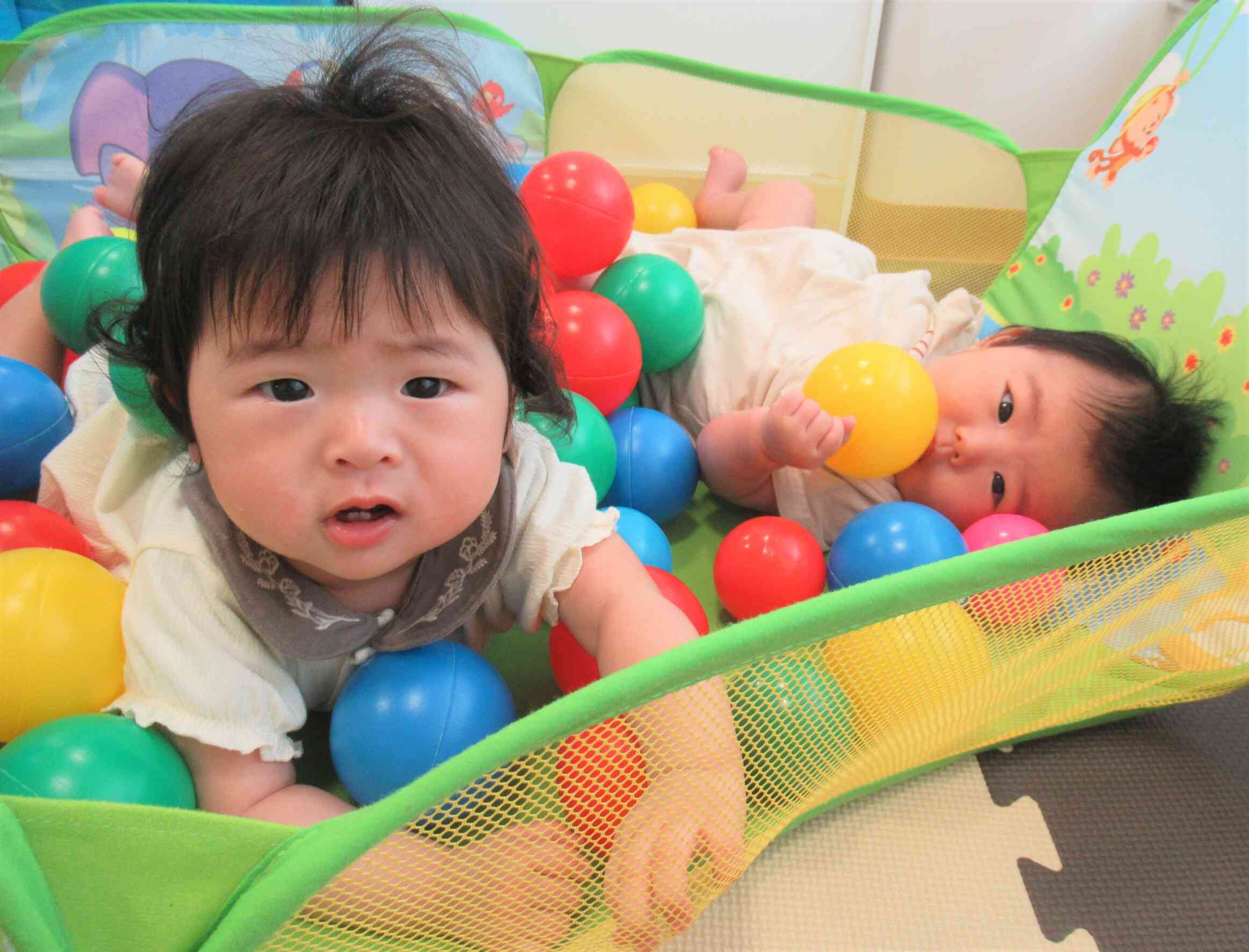 ひよこ組(0歳児)の活動♪