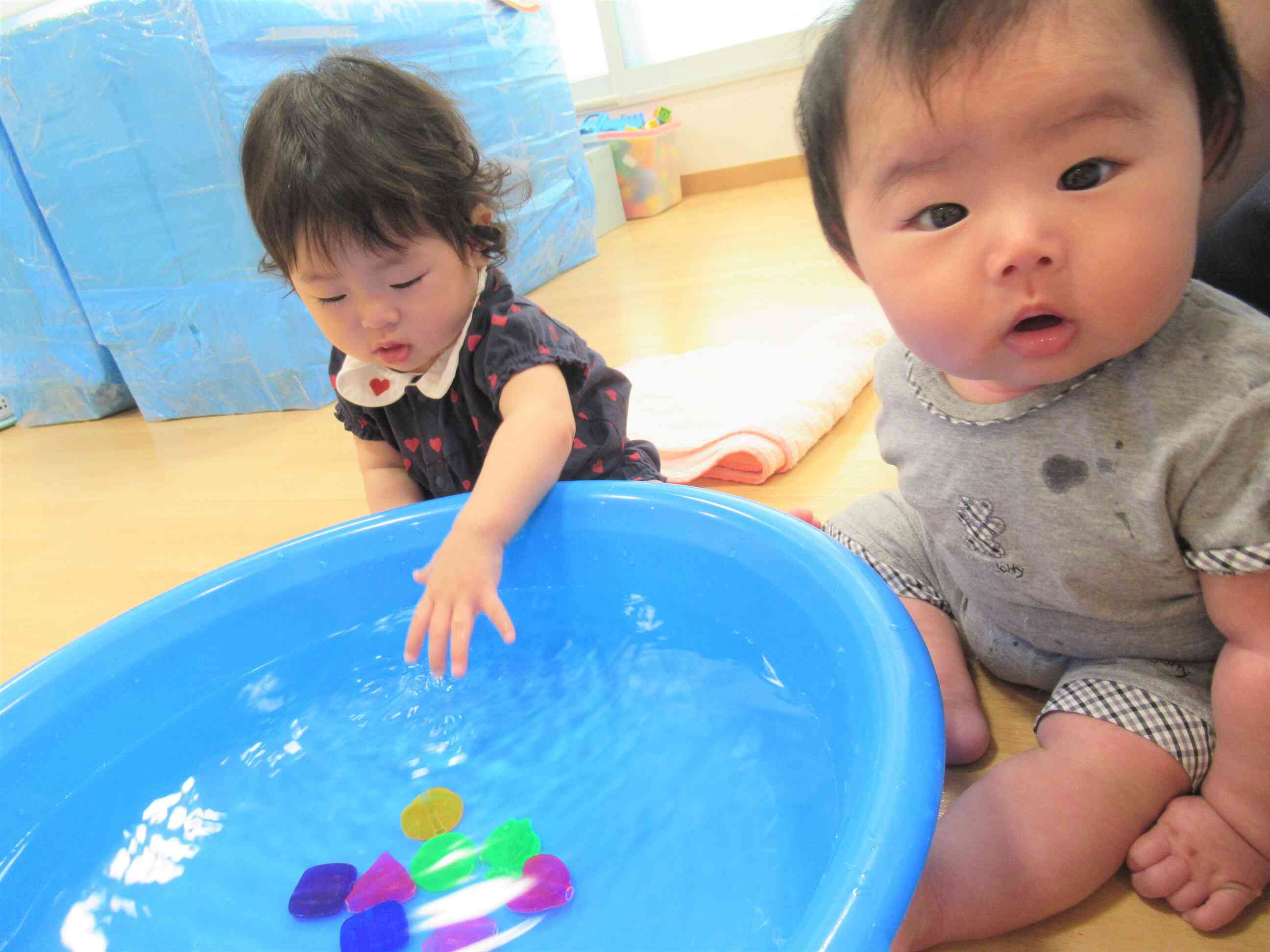 ひよこ組(0歳児)の活動♪