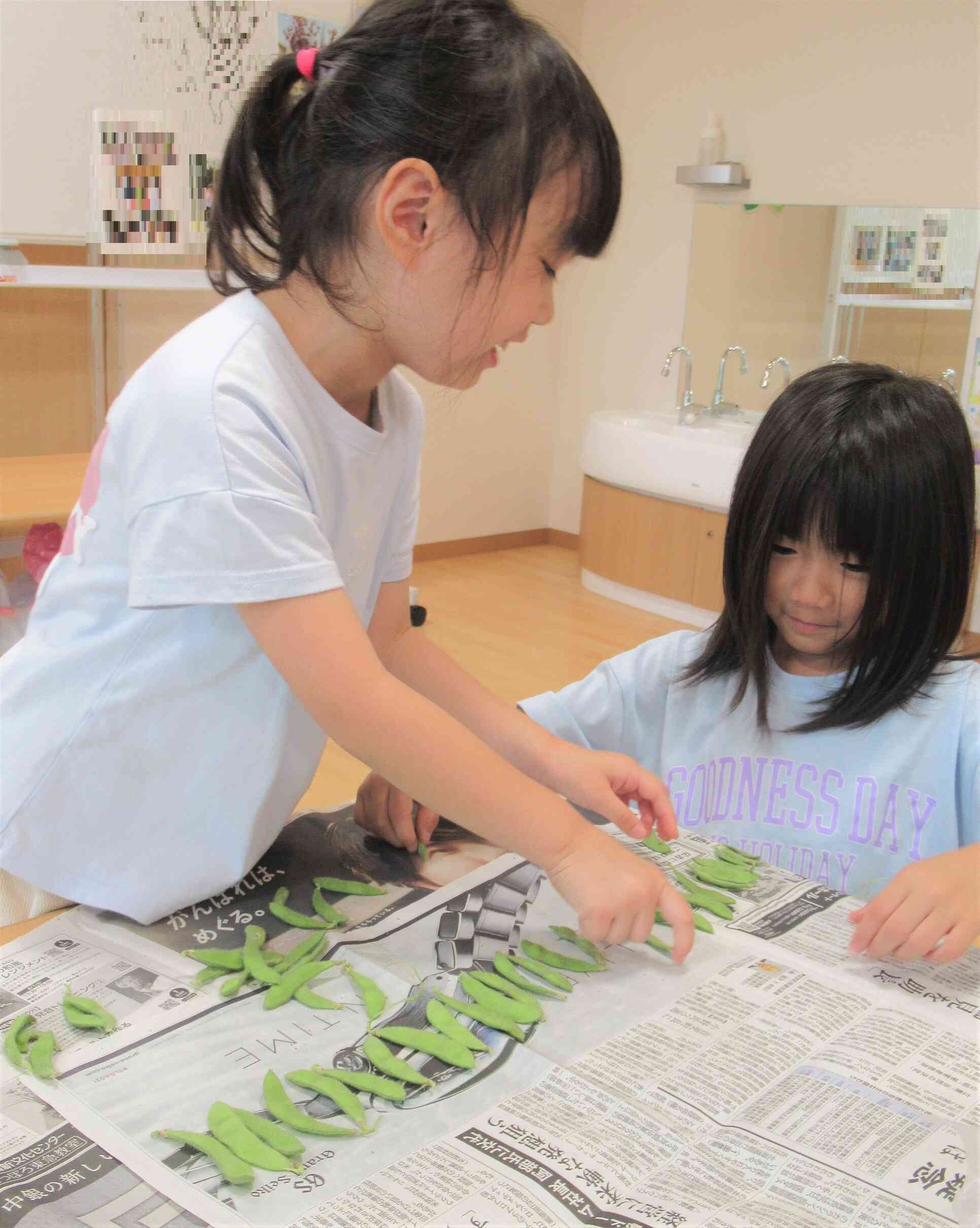 大きさも違うね