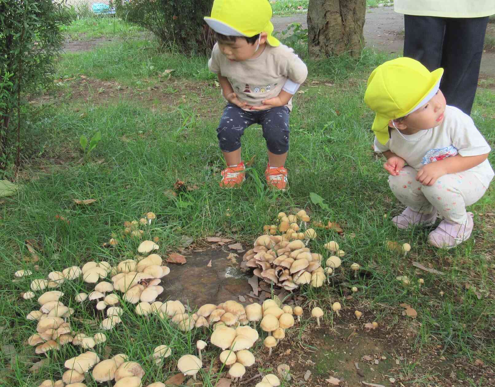 公園へしゅっぱ～つ♪