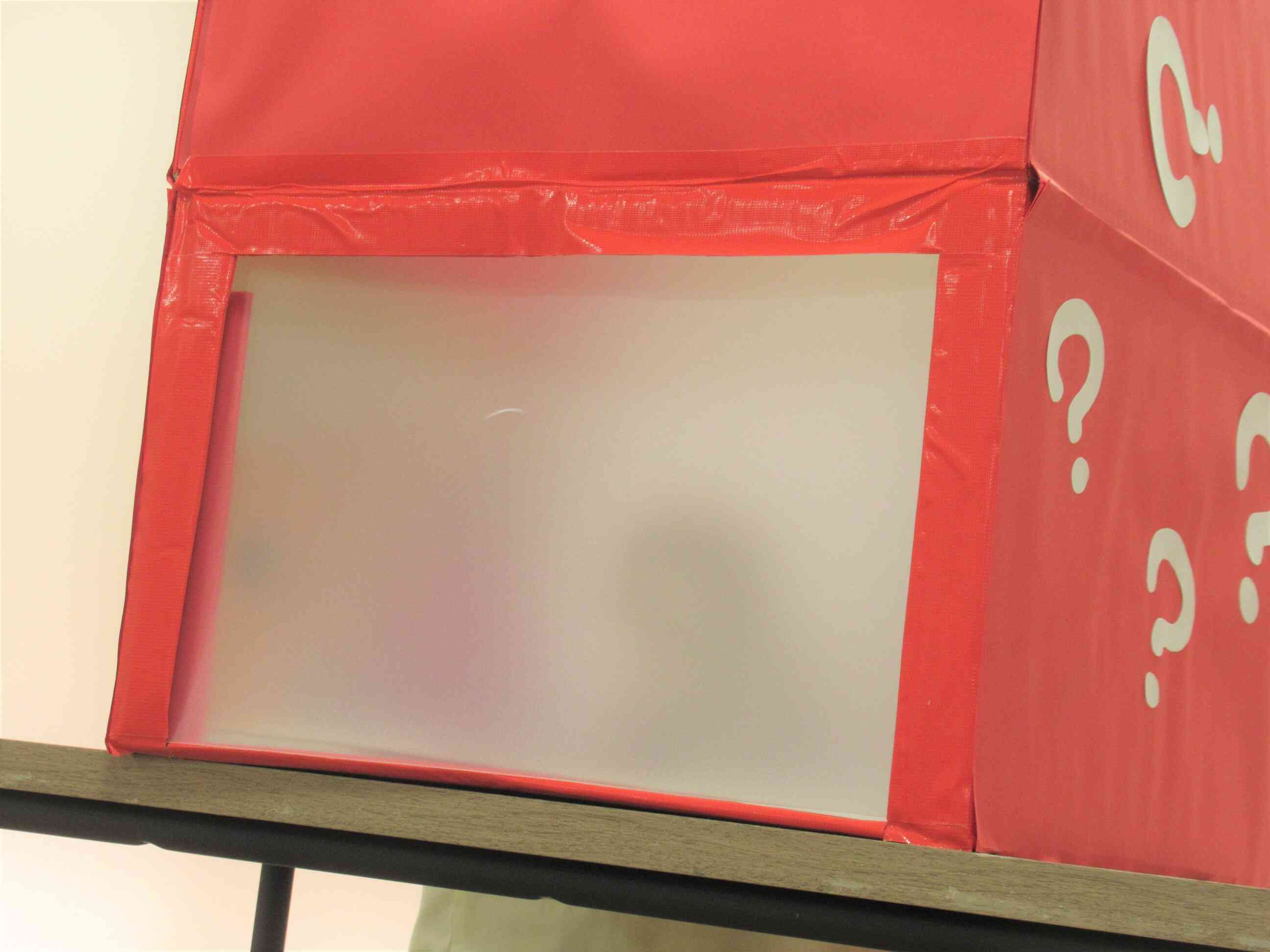 さあ、何が入っているのでしょう？？