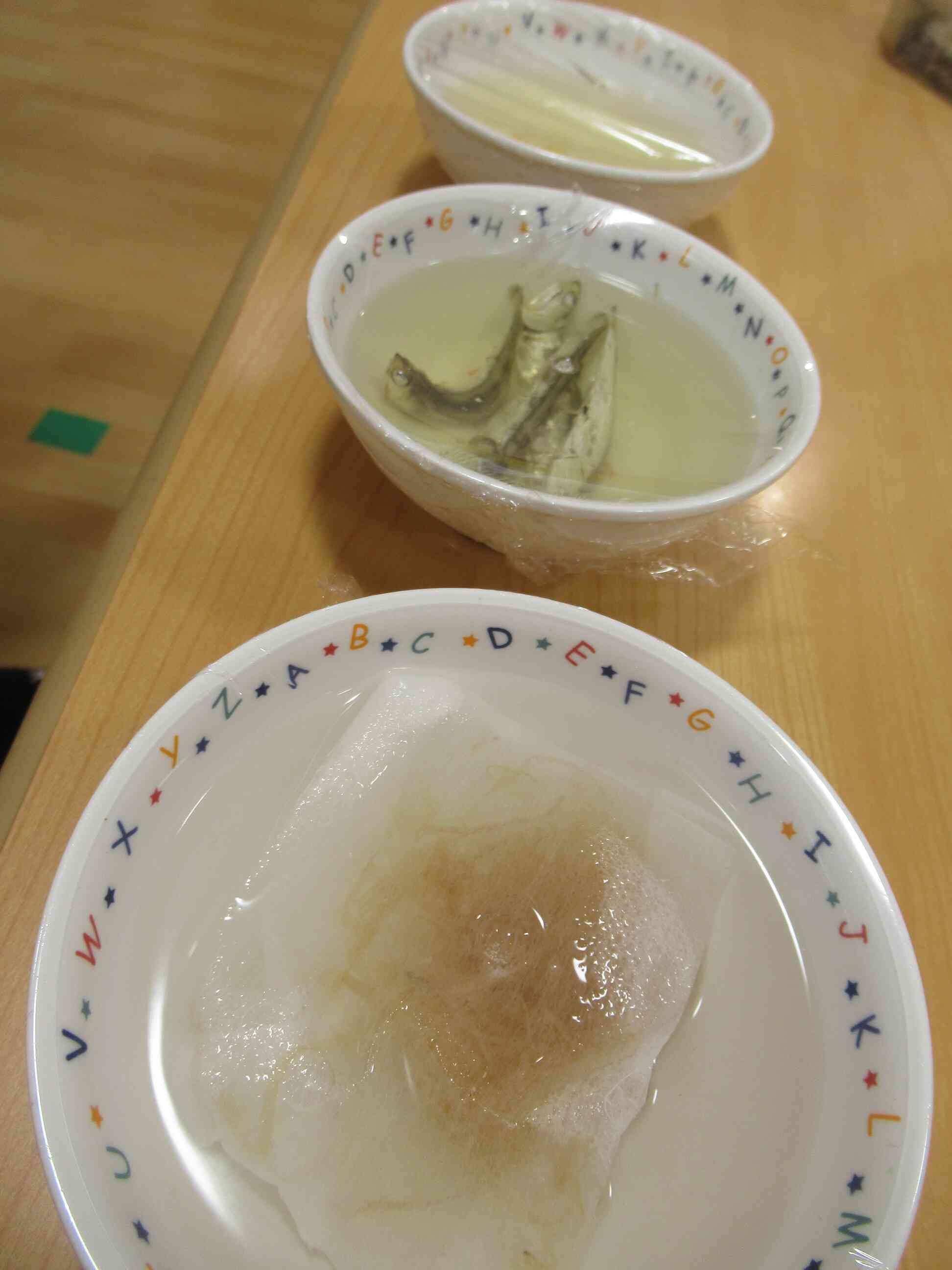 出汁(だし)の味比べ（食育）